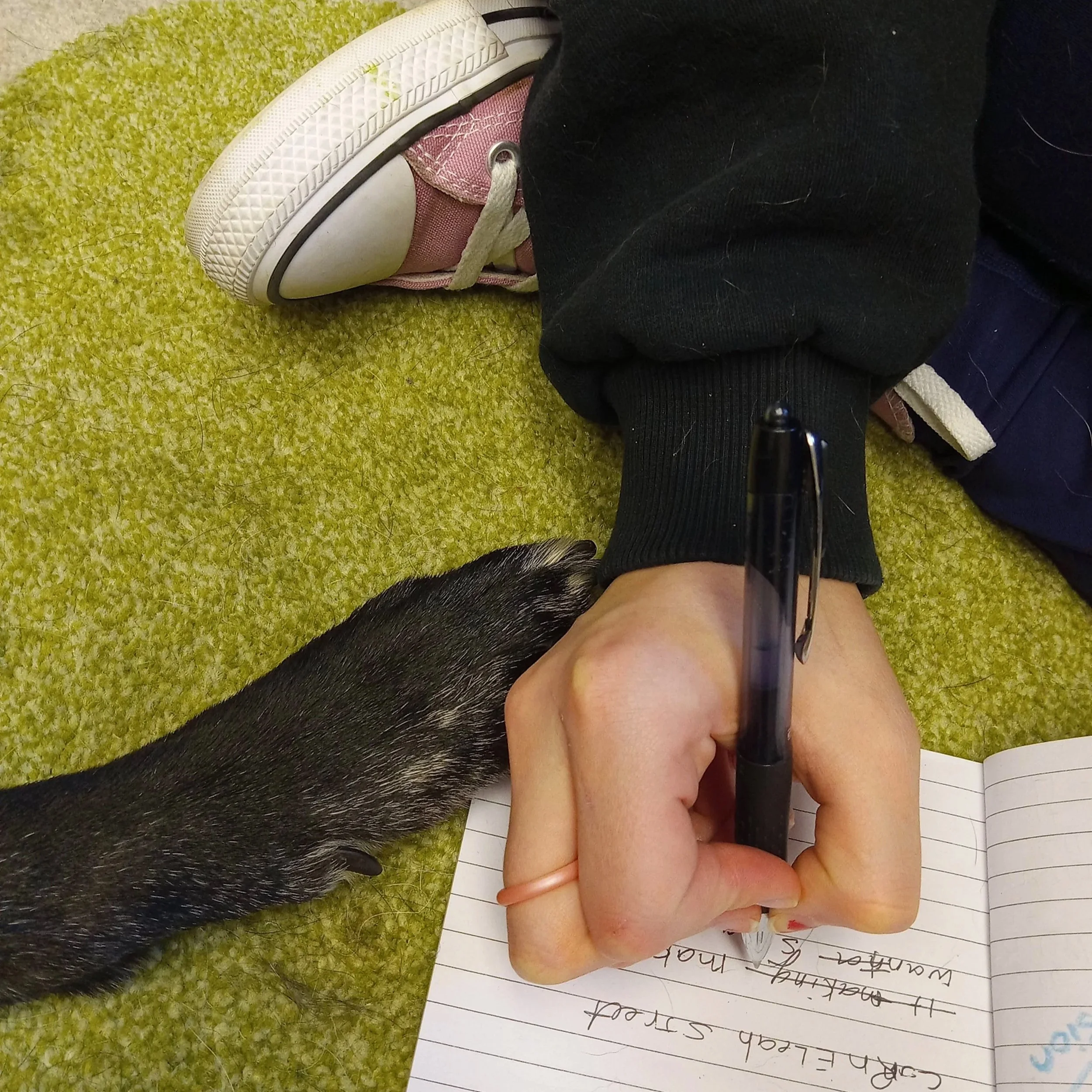 Reading therapy dog Delta touches her paw to a writing child's hand.