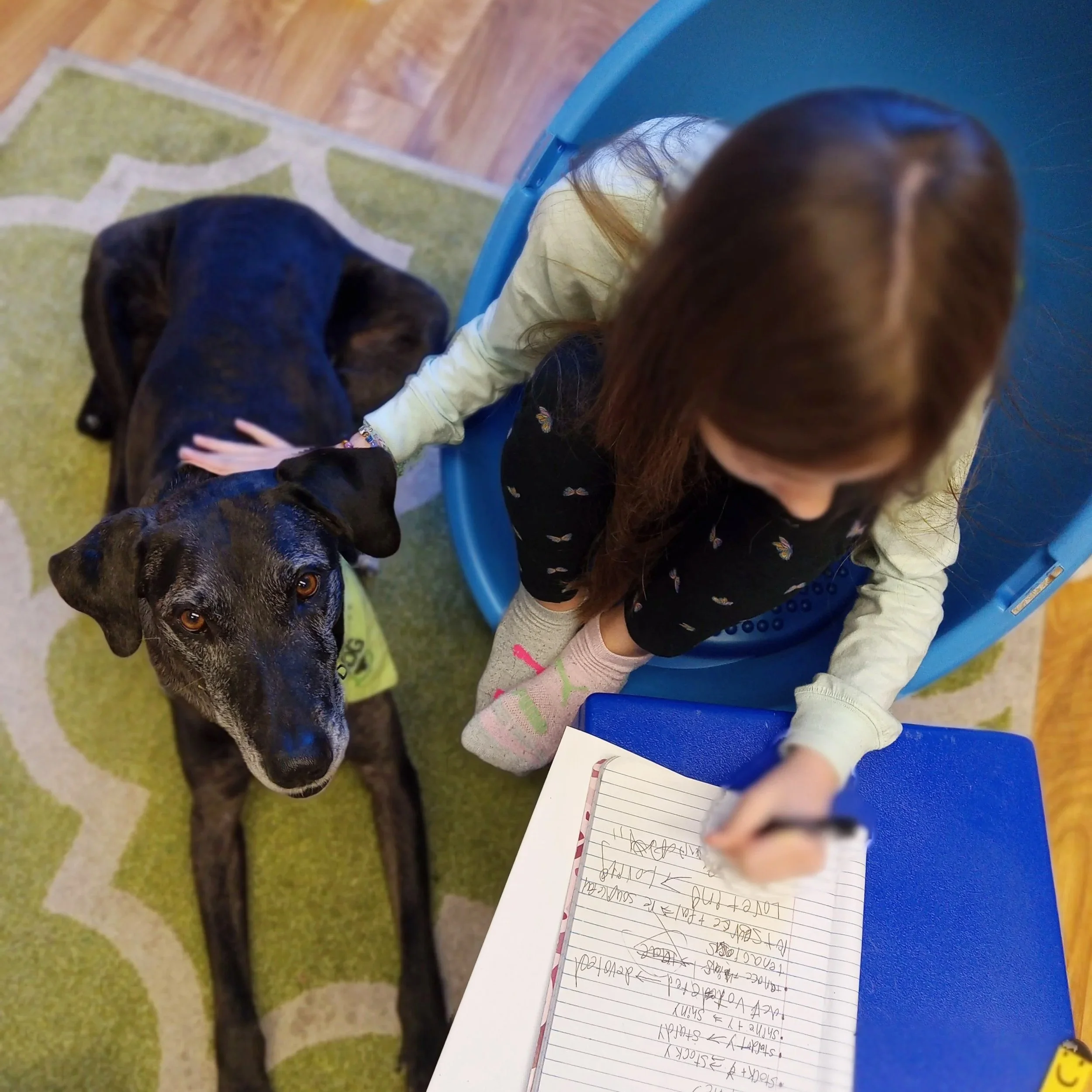 Speech therapy dog Delta with child in reading therapy.