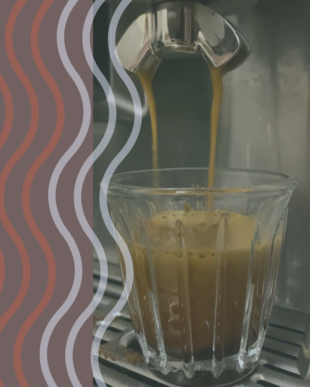 Untitled design(3).png