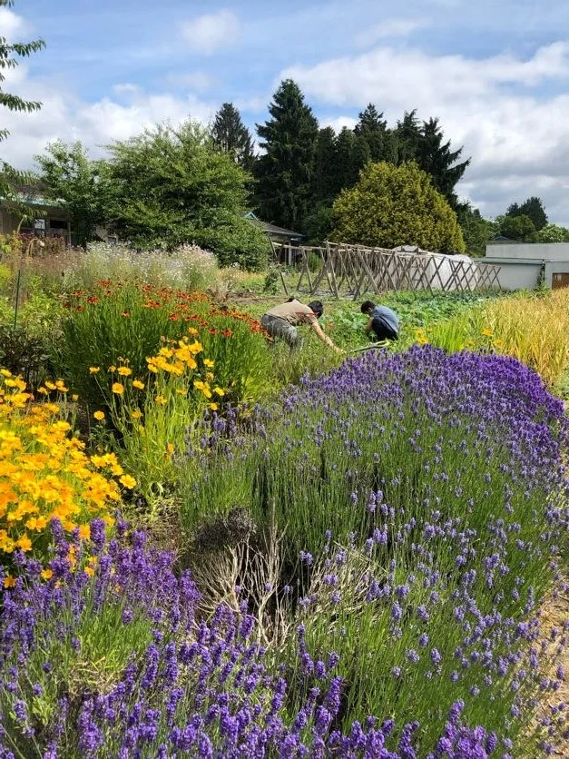 Volunteering at Farmers on 57th