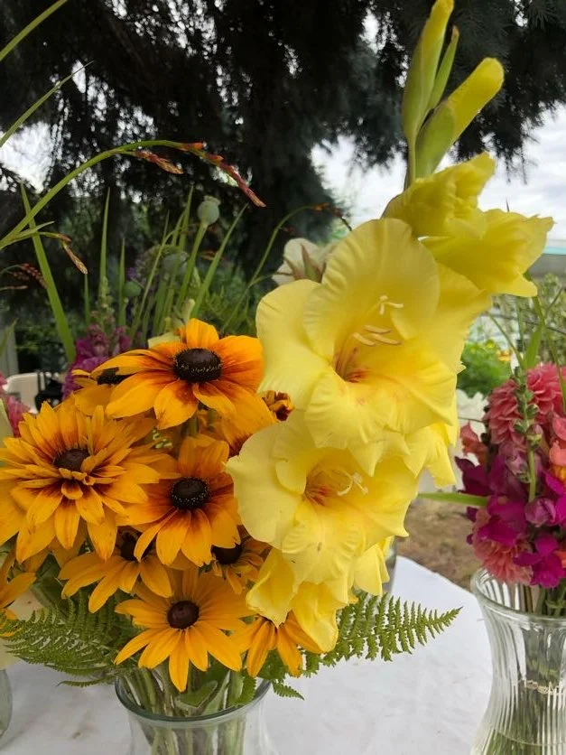 July week 2 gladiolas full on