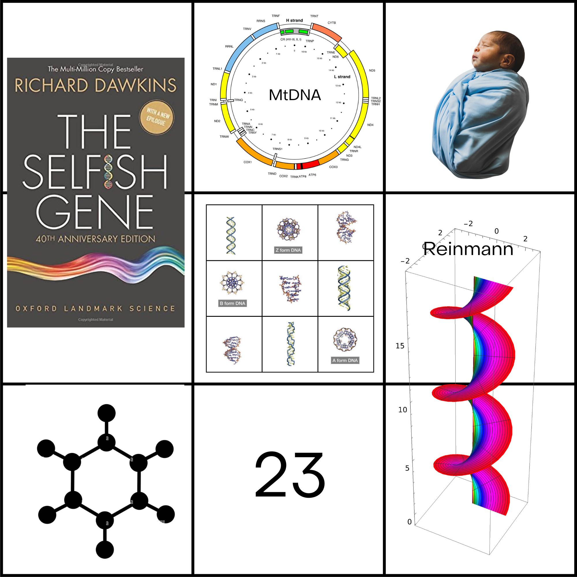Memetics