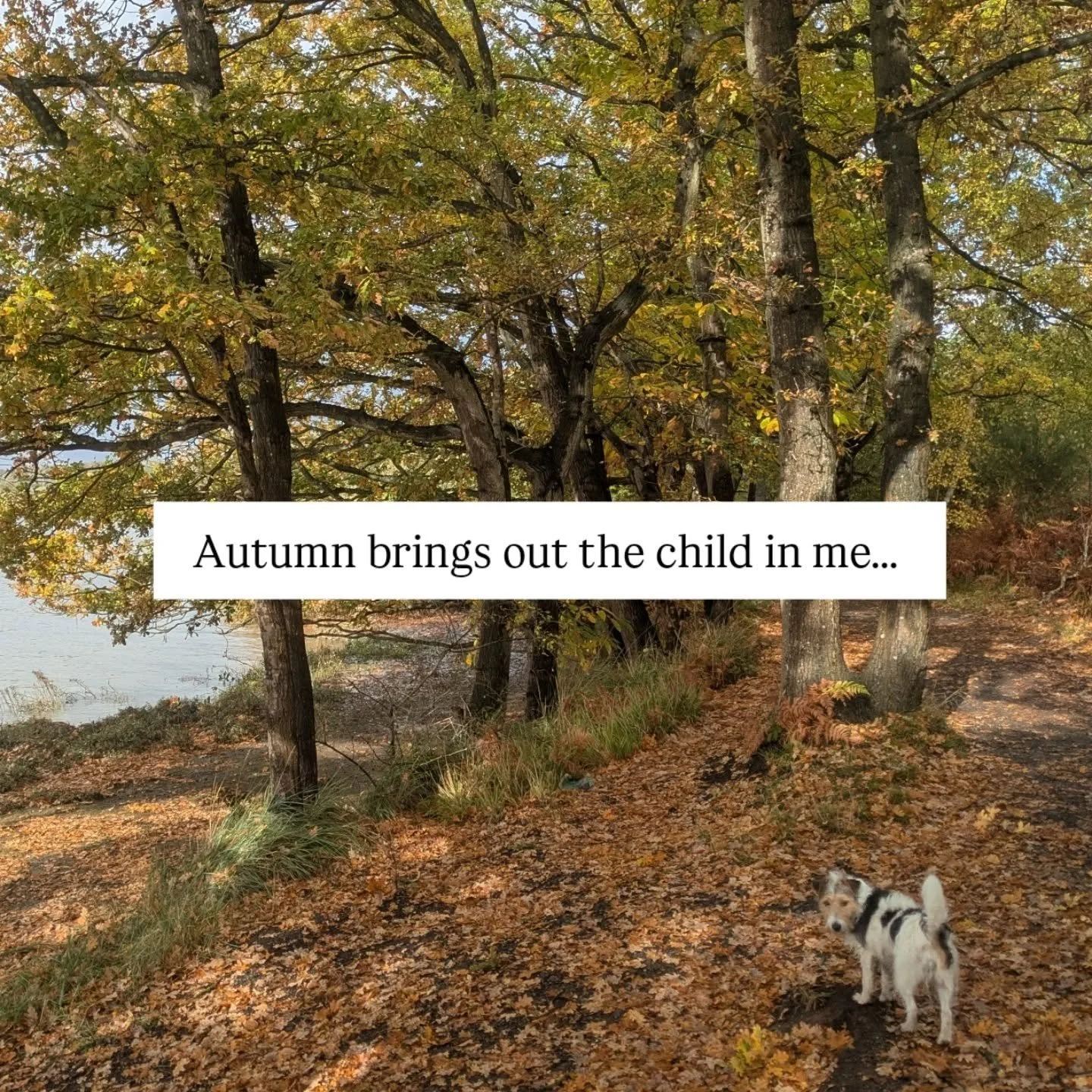 I loved Bonfire Night growing up, and still do. There&rsquo;s something so captivating about gathering around a fire, hearing its fierce crackle, basking in its heat until it&rsquo;s almost too much.

I remember the autumn crafts we did at primary sc