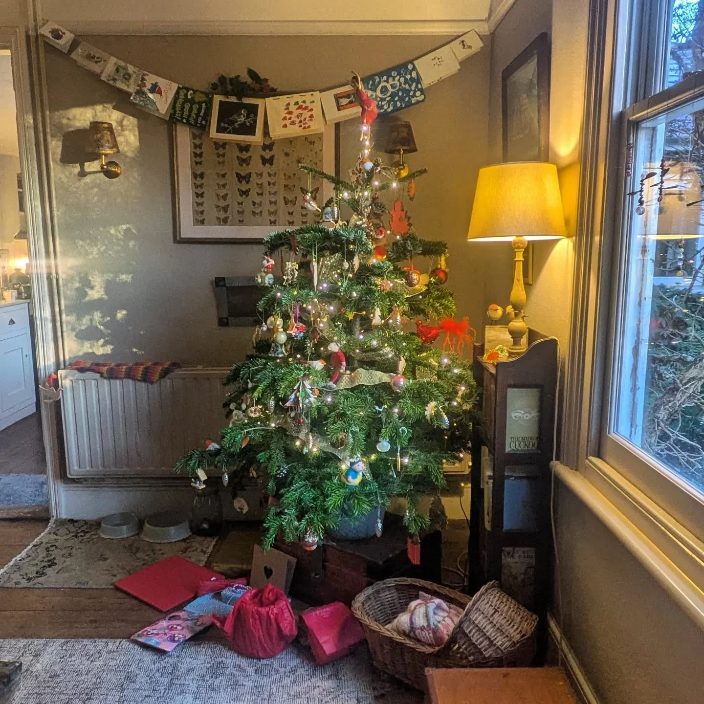 Betwixtmas: one of my favourite times of year. I love the stillness of these days, the calm that follows the family gatherings and feasting. I love to sit and listen to the pur of my elderly central heating system, with the warm curl of my dog on my 