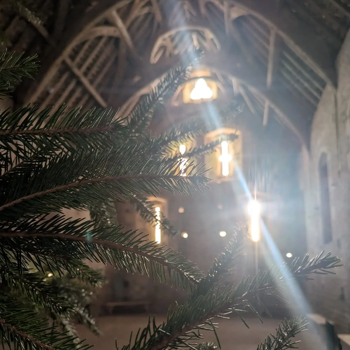 Happy Christmas, lovelies. I've been very quiet on here recently, partly because it's been a busy time, but also because I've been feeling quiet in myself.

This photo, taken on a gorgeous surprise weekend in Wells and Glastonbury sums up the Christm