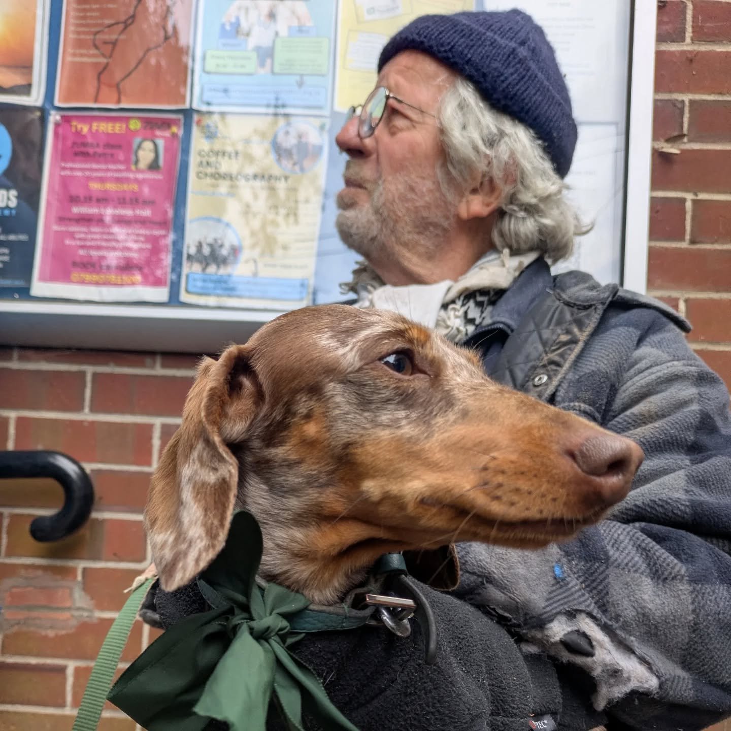 Dad and Daisy say, "Don't forget to vote!"

#vote2026 #votegreen #greenparty #dogsatpollingstations #daschund
