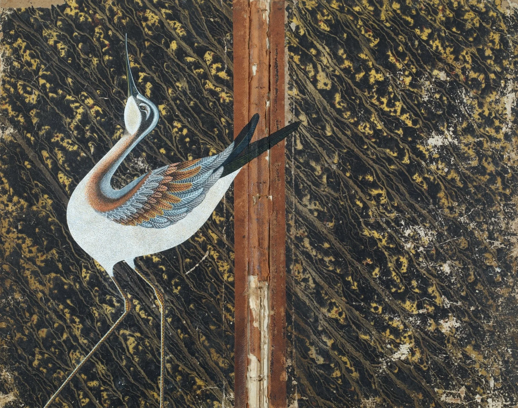 NT011_NANCY ROSE TAPLIN_0005_1381232590.jpg