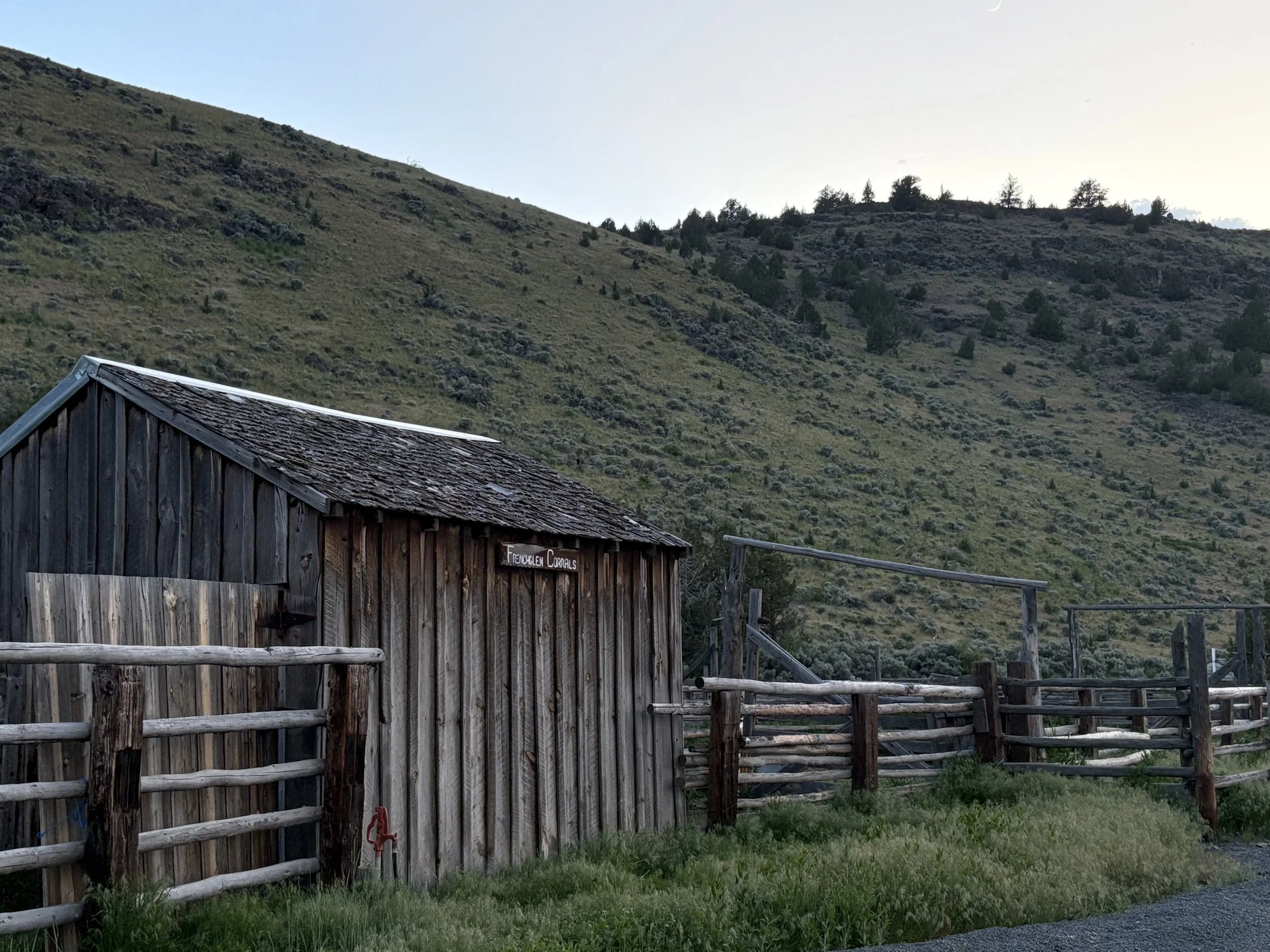 Grant Management Software Revolution: Digital Tools Transforming Nonprofit Efficiency