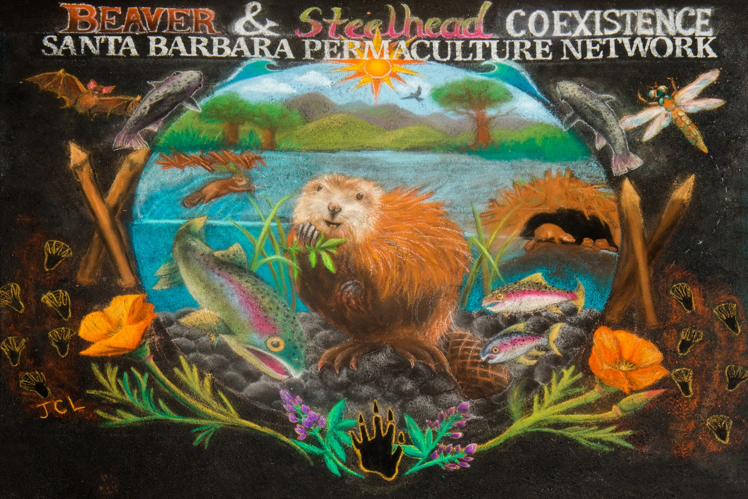 314-2026AL-12x8-SB-Permaculture-Network.jpg
