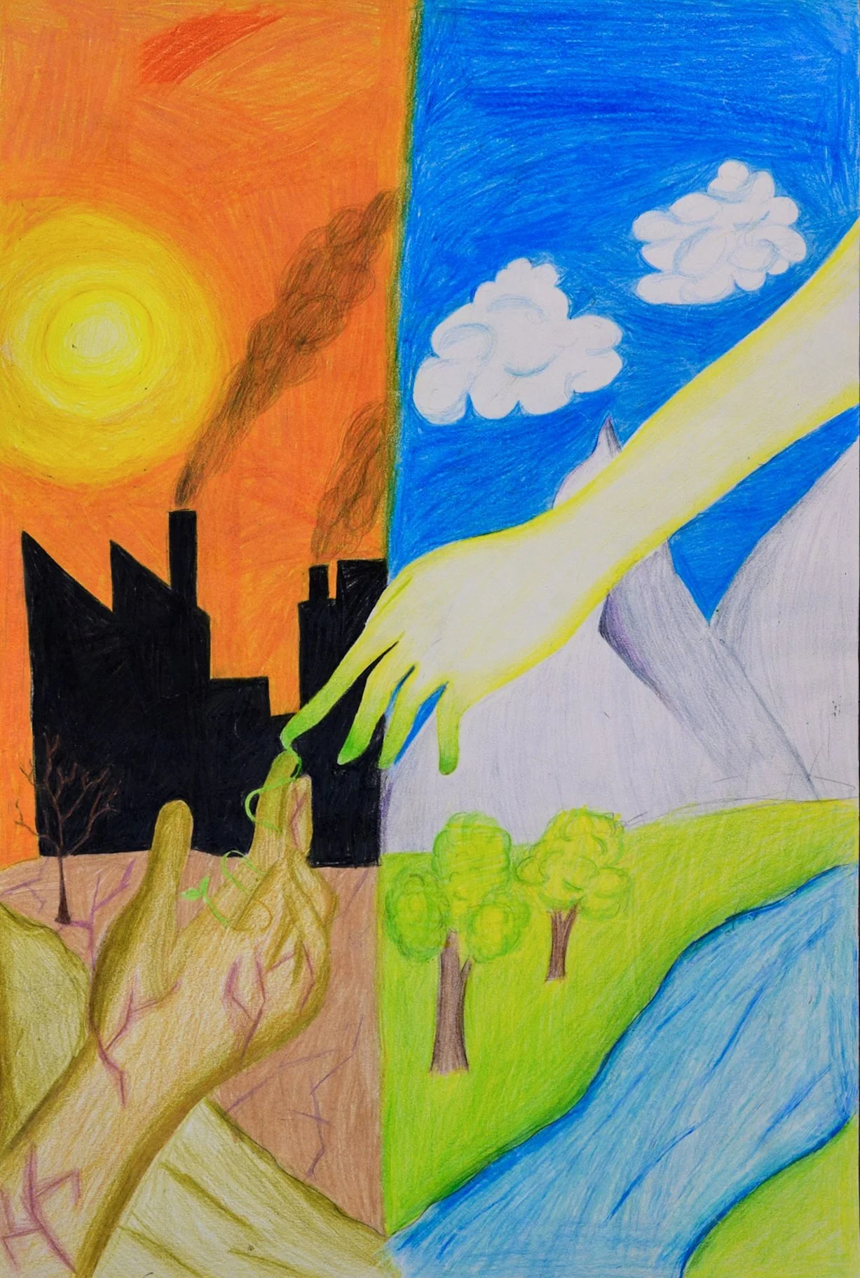 Audrina S. – 7th Grade – Goleta Valley Jr High School