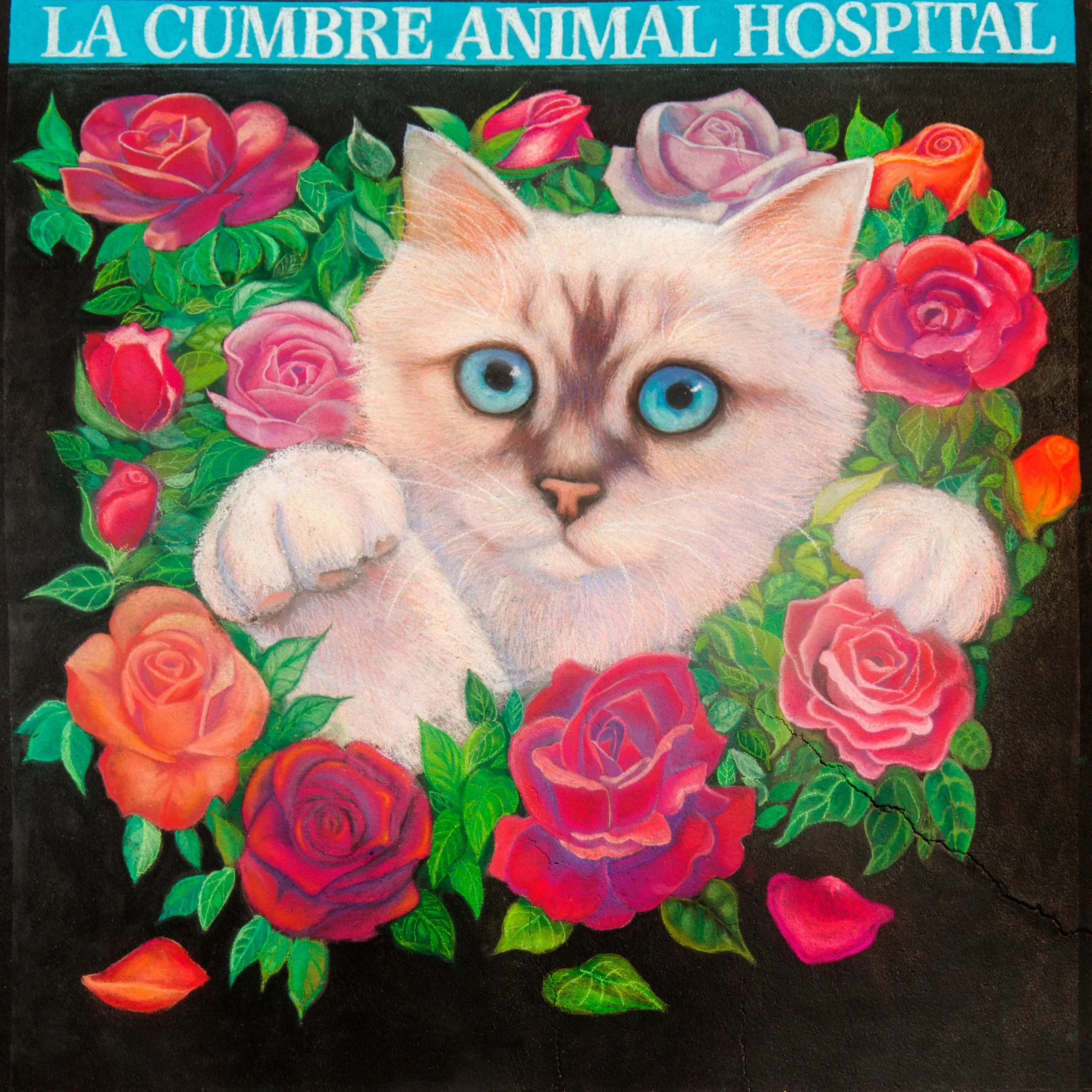332-2026AL-12x12-La-Cumbre-Animal-Hospital.jpg