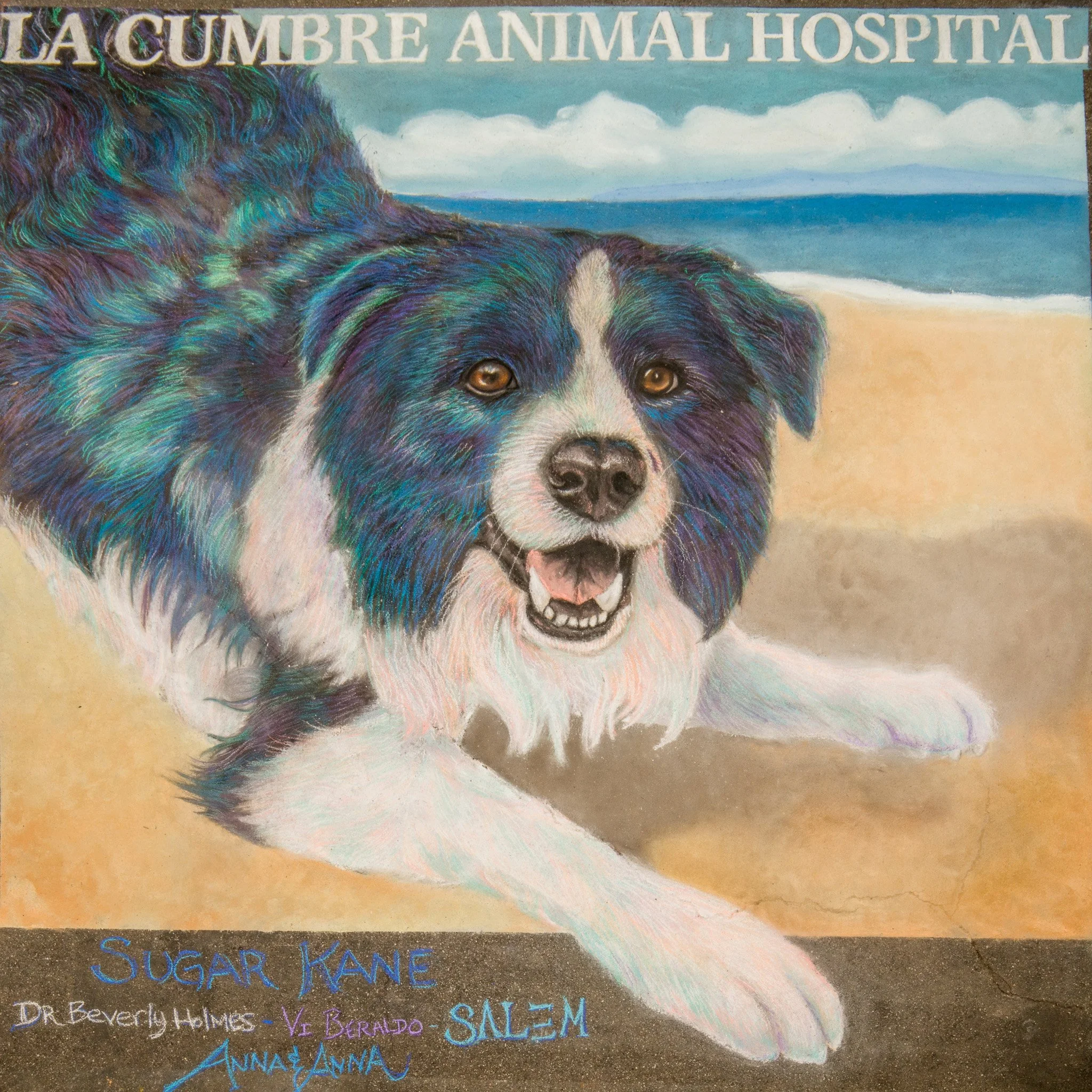 502-AL2025-12x8-La-Cumbre-Animal-Hospital-008.jpg