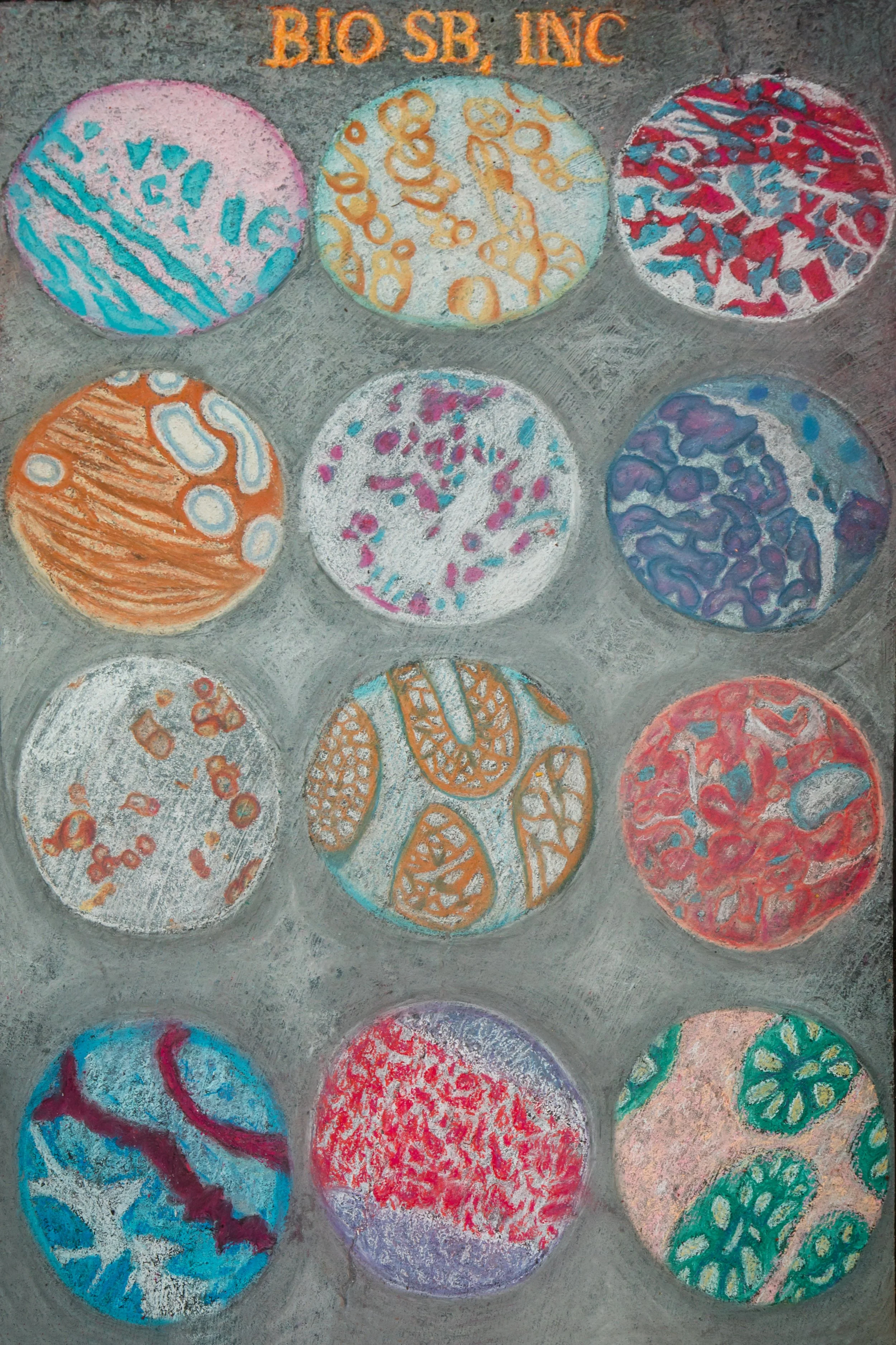 058-2026AL-4x6-Bio-SB-Inc.jpg