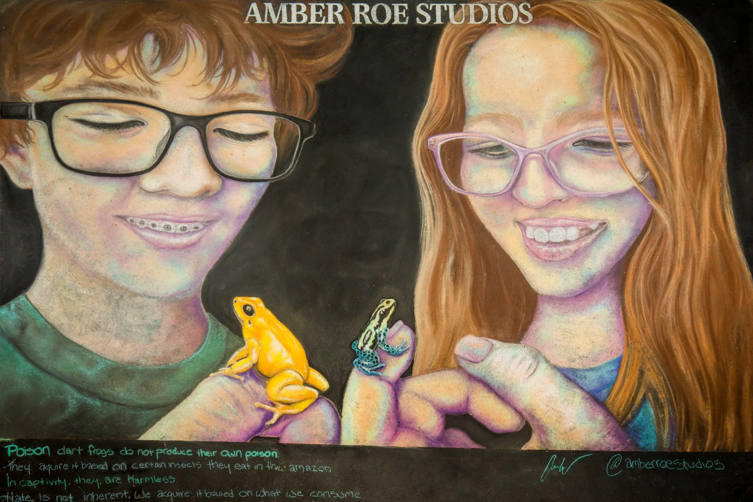 253-2026AL-12x8-Amber-Roe-Studios.jpg