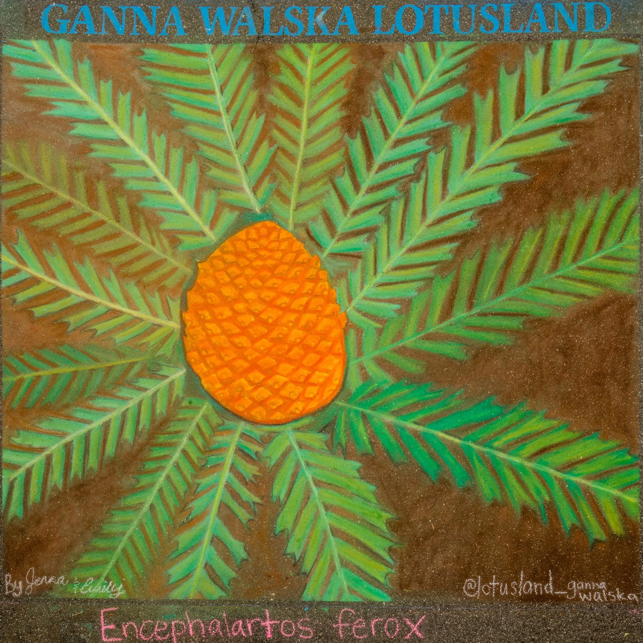 212-AL2025-8x8-Ganna-Walska-Lotusland-003.jpg