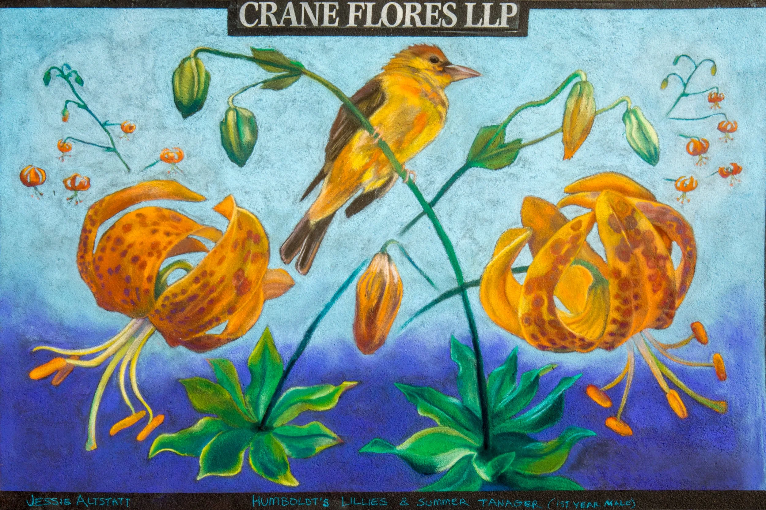 296-2026AL-12x8-Crane-Flores-LLP.jpg