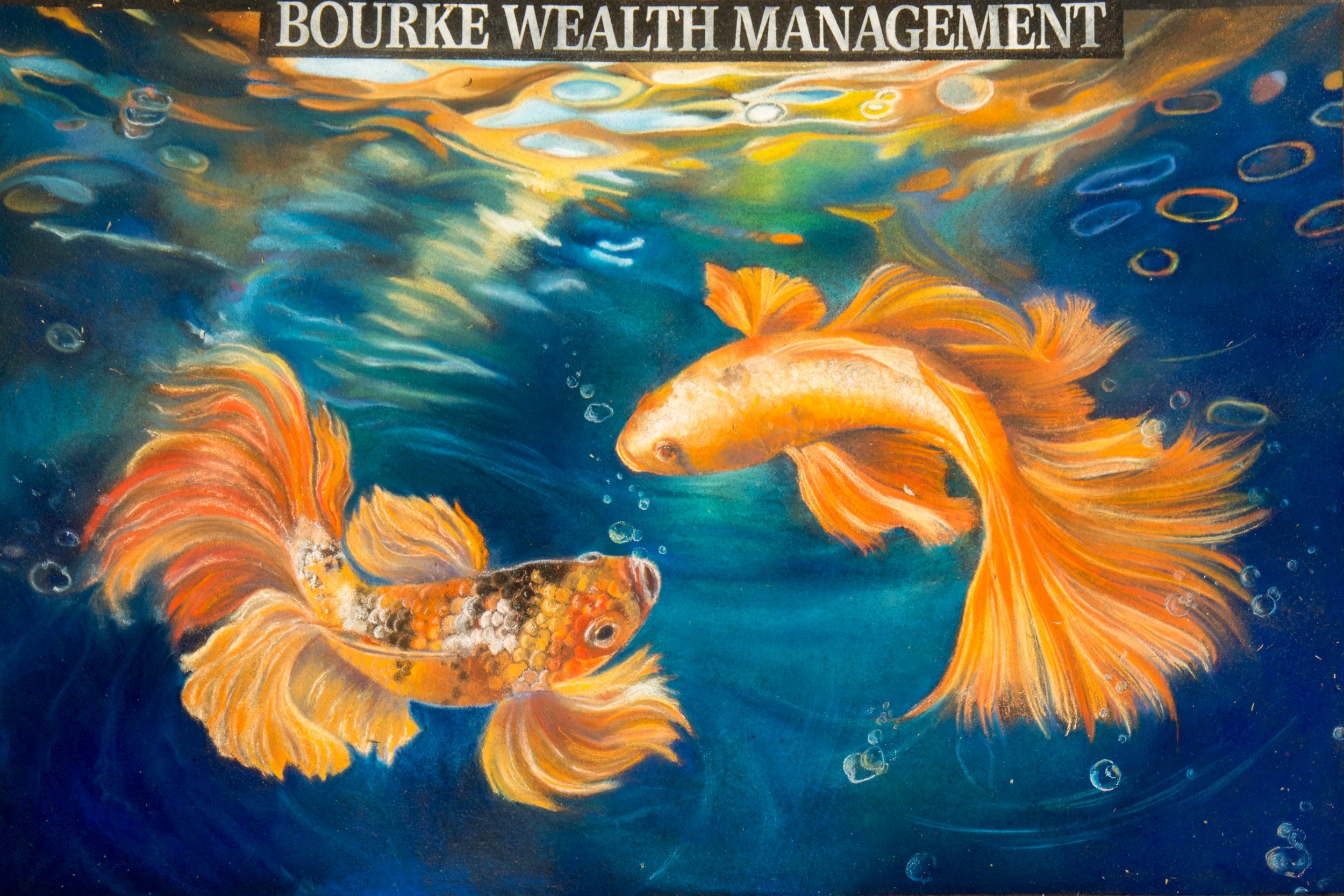 292-2026AL-12x8-Bourke-Wealth-Management.jpg