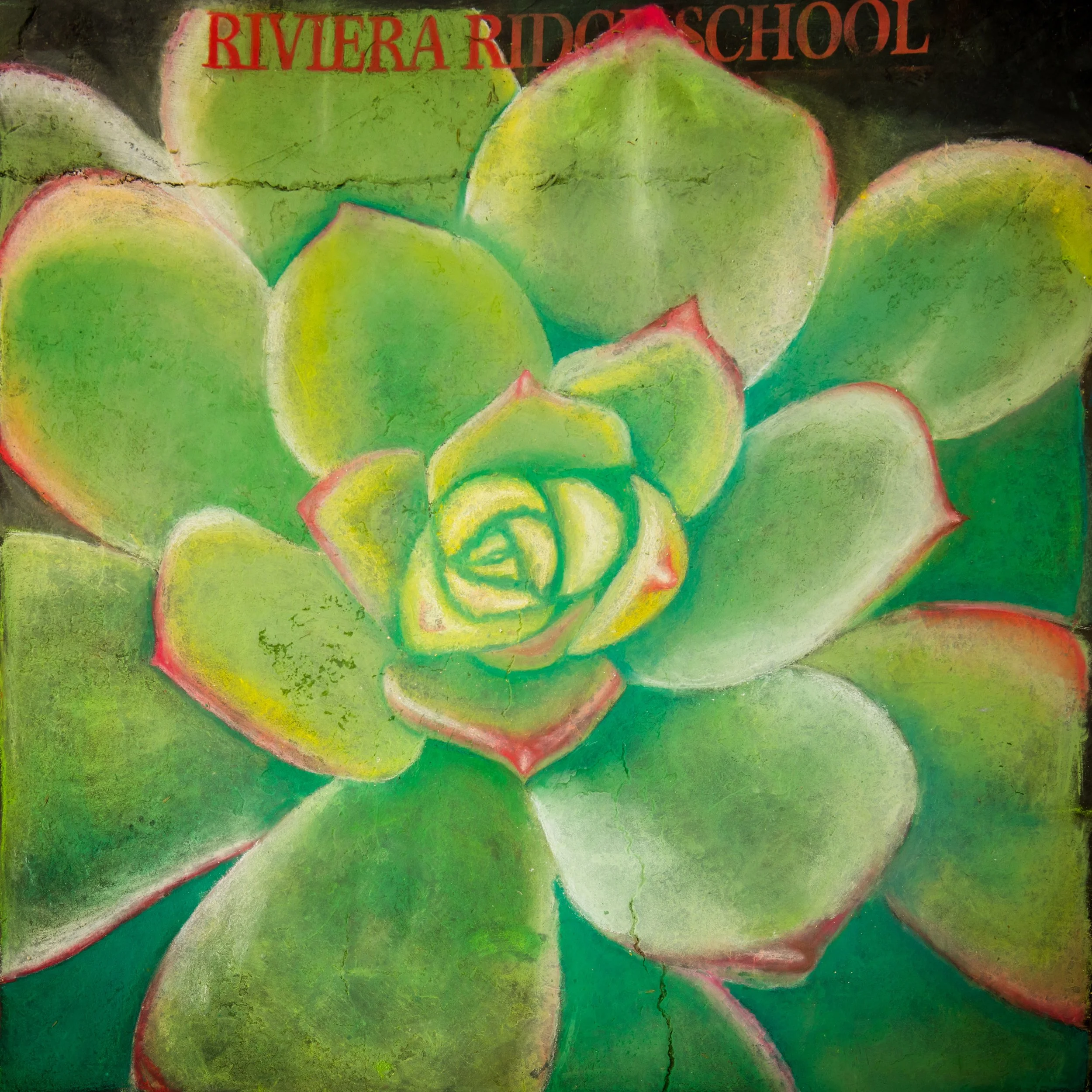 230-2026AL-8x8-Riviera-Ridge-School.jpg