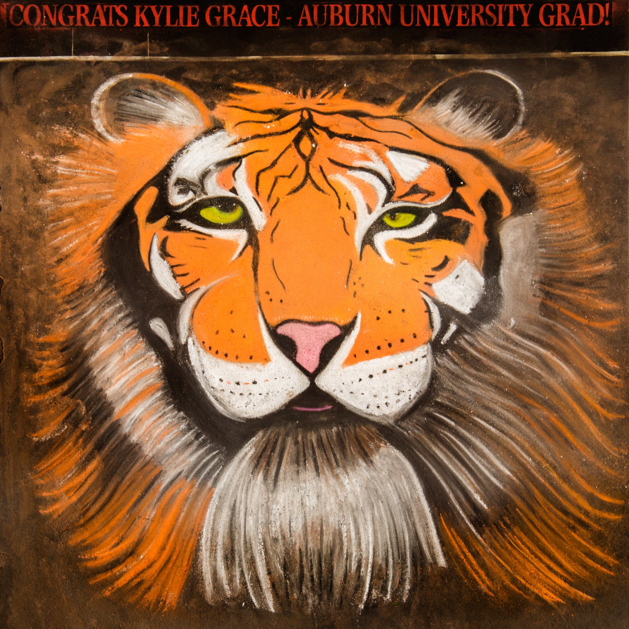 201-2026AL-8x8-Congrats-Kylie-Grace.jpg