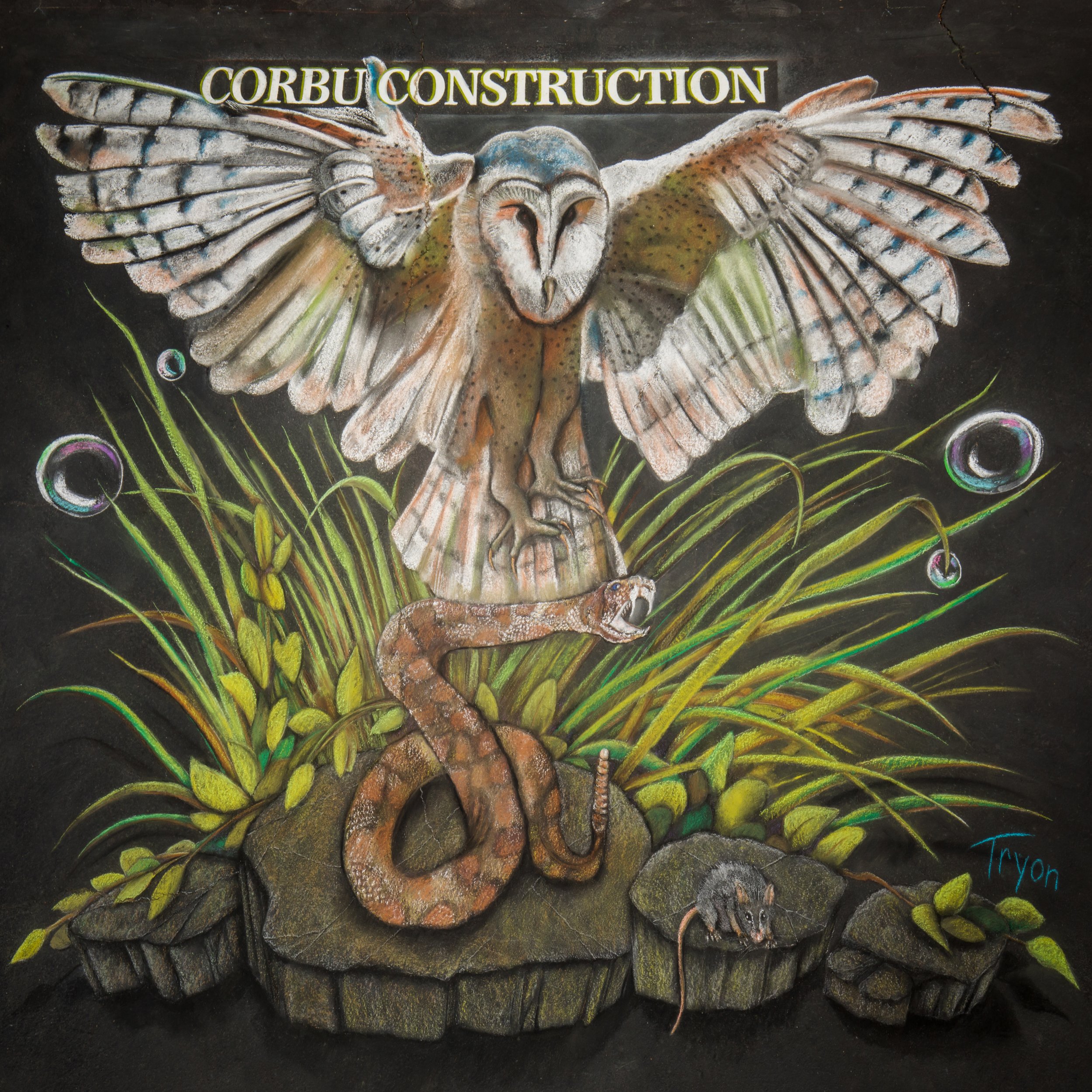 341-2026AL-12x12-Corbu-Construction.jpg