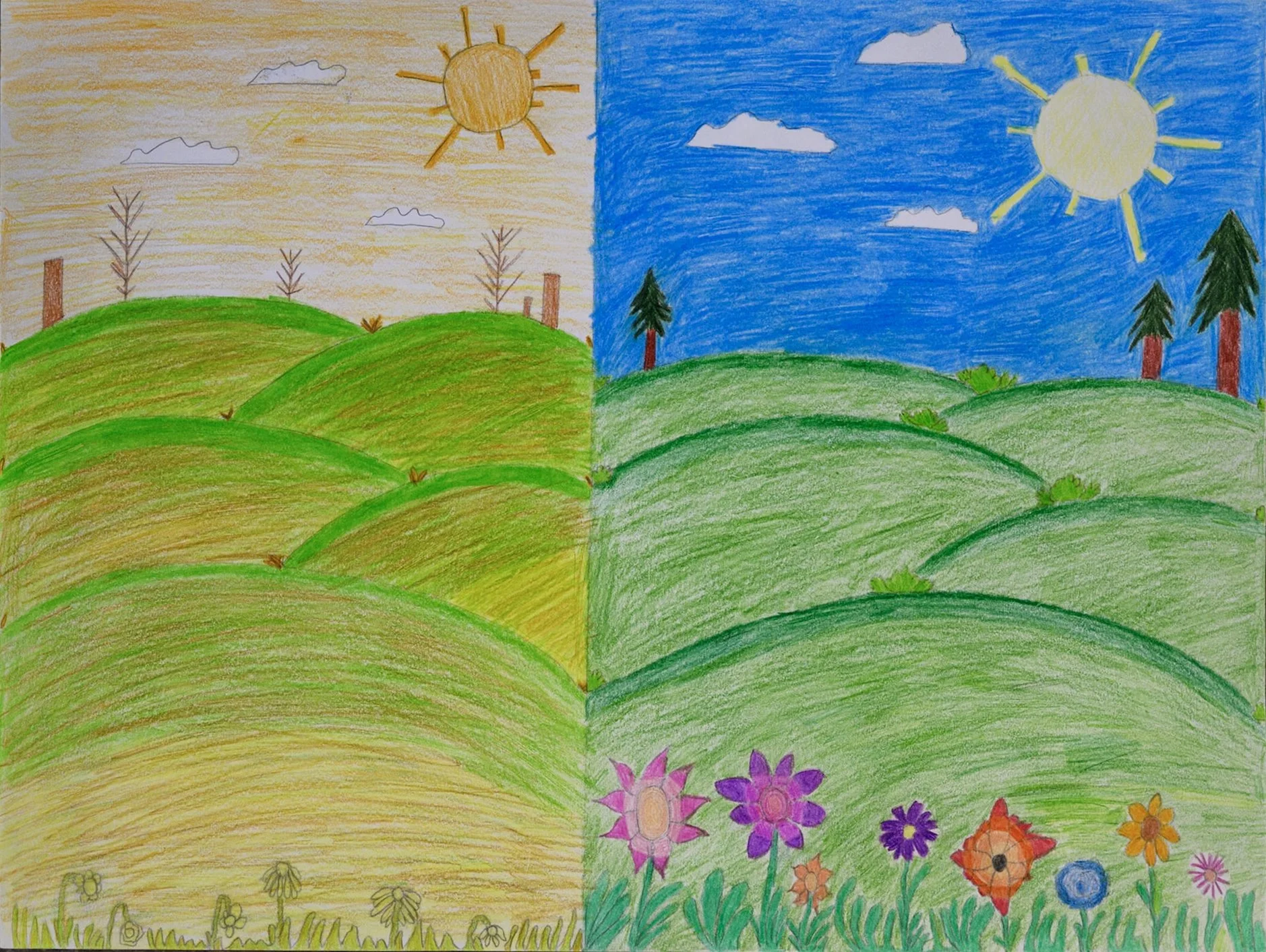 Bryn M. – 8th Grade – Goleta Valley Jr High School