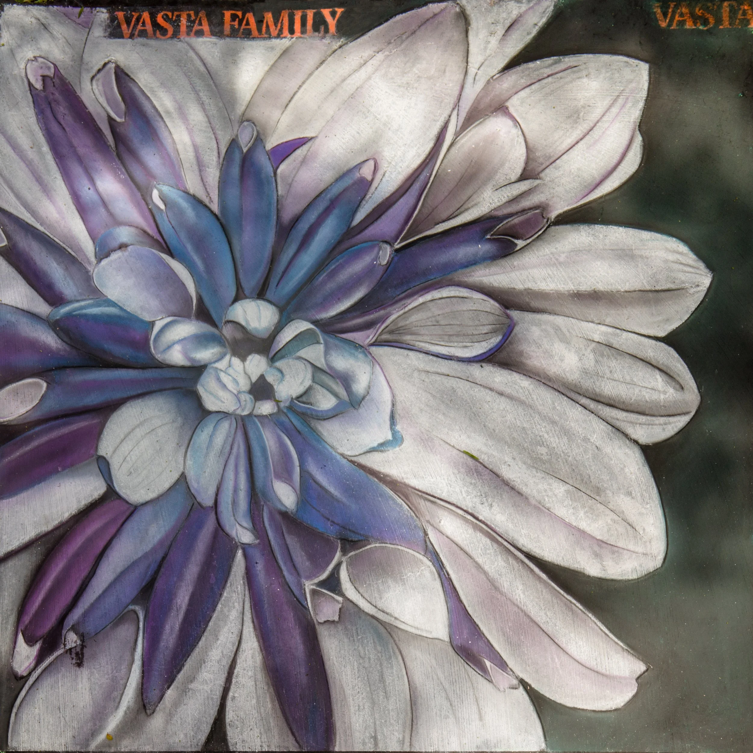 076-2026AL-4x6-Vasta-Family.jpg