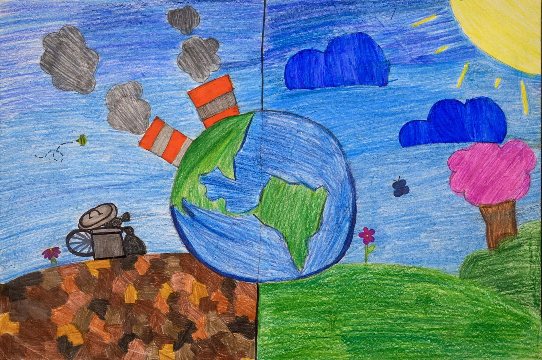 Sophia C. – 7th Grade – Goleta Valley Jr High School