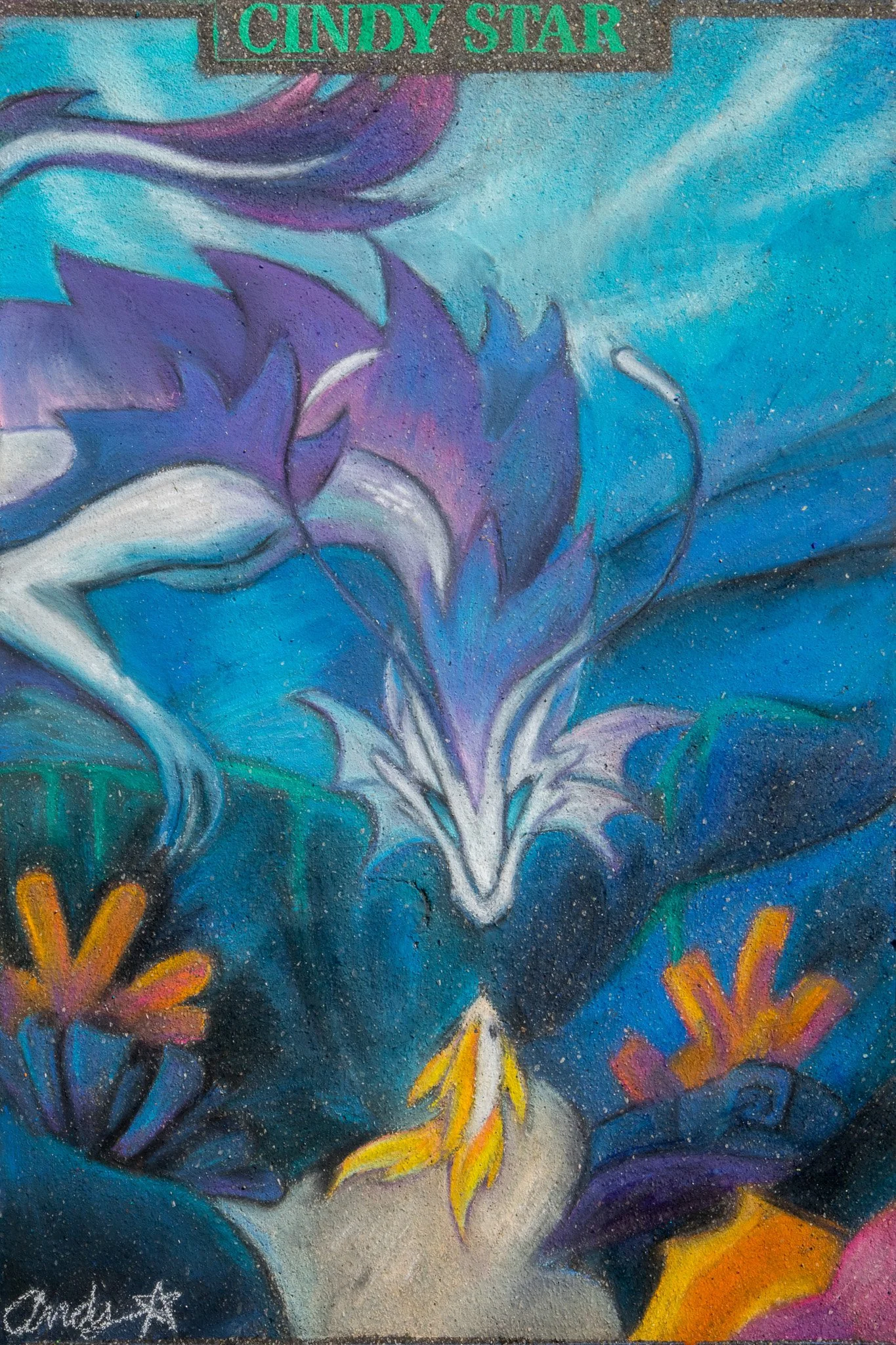 014-AL2025--4x6-Cindy-Star-002.jpg