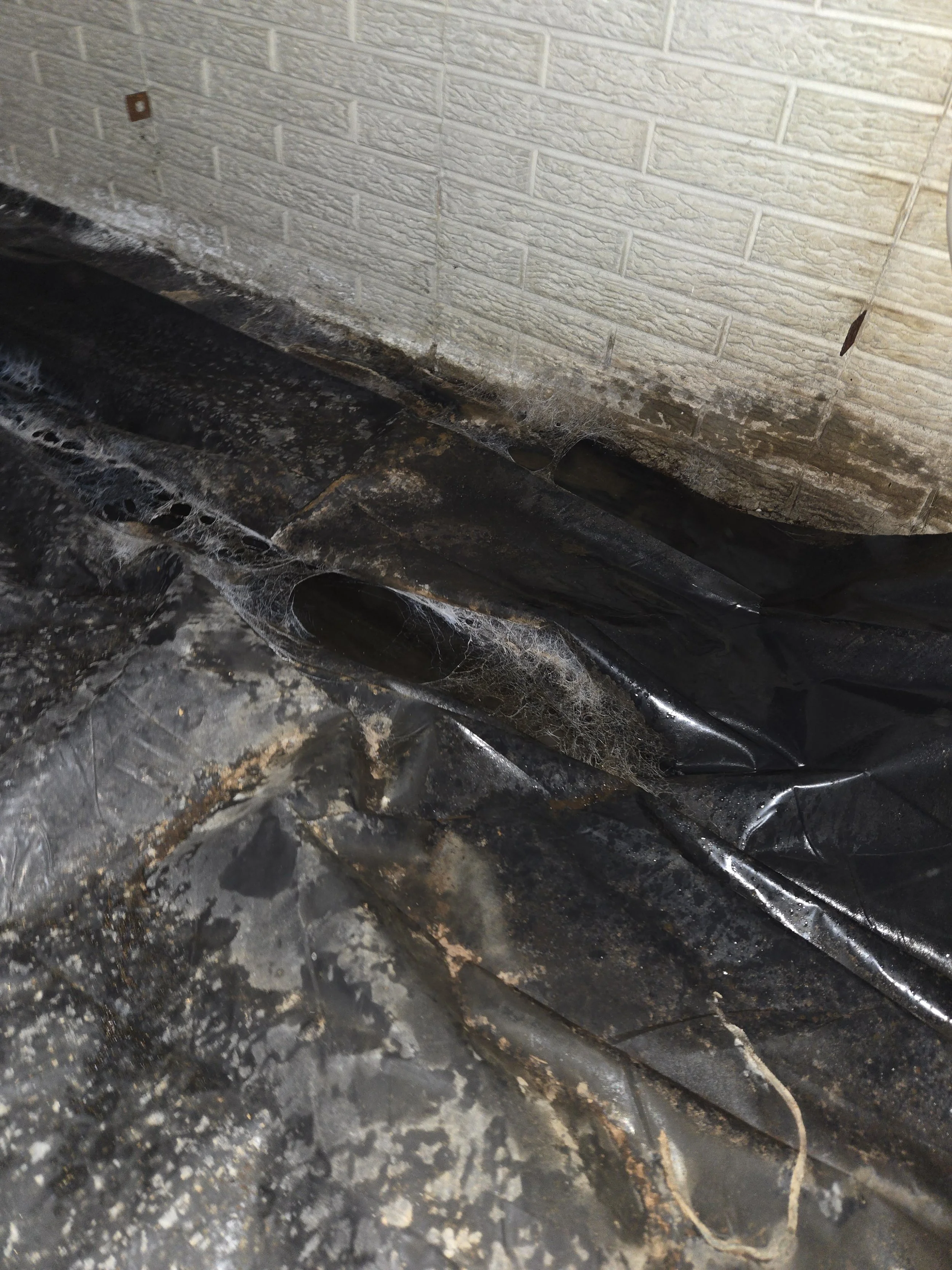 SDC _ Crawl Space (6).jpg