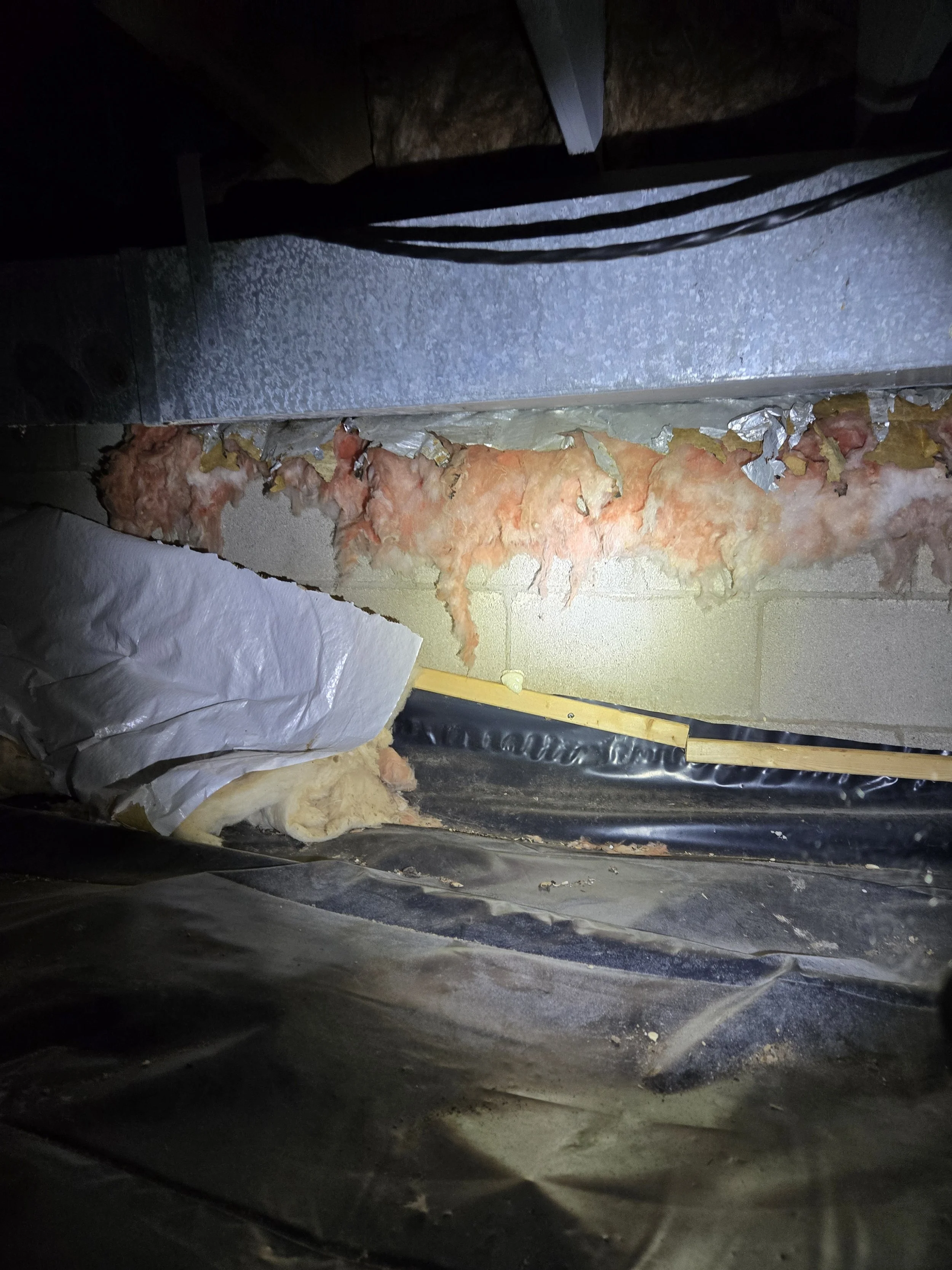 SDC _ Crawl Space (10).jpg