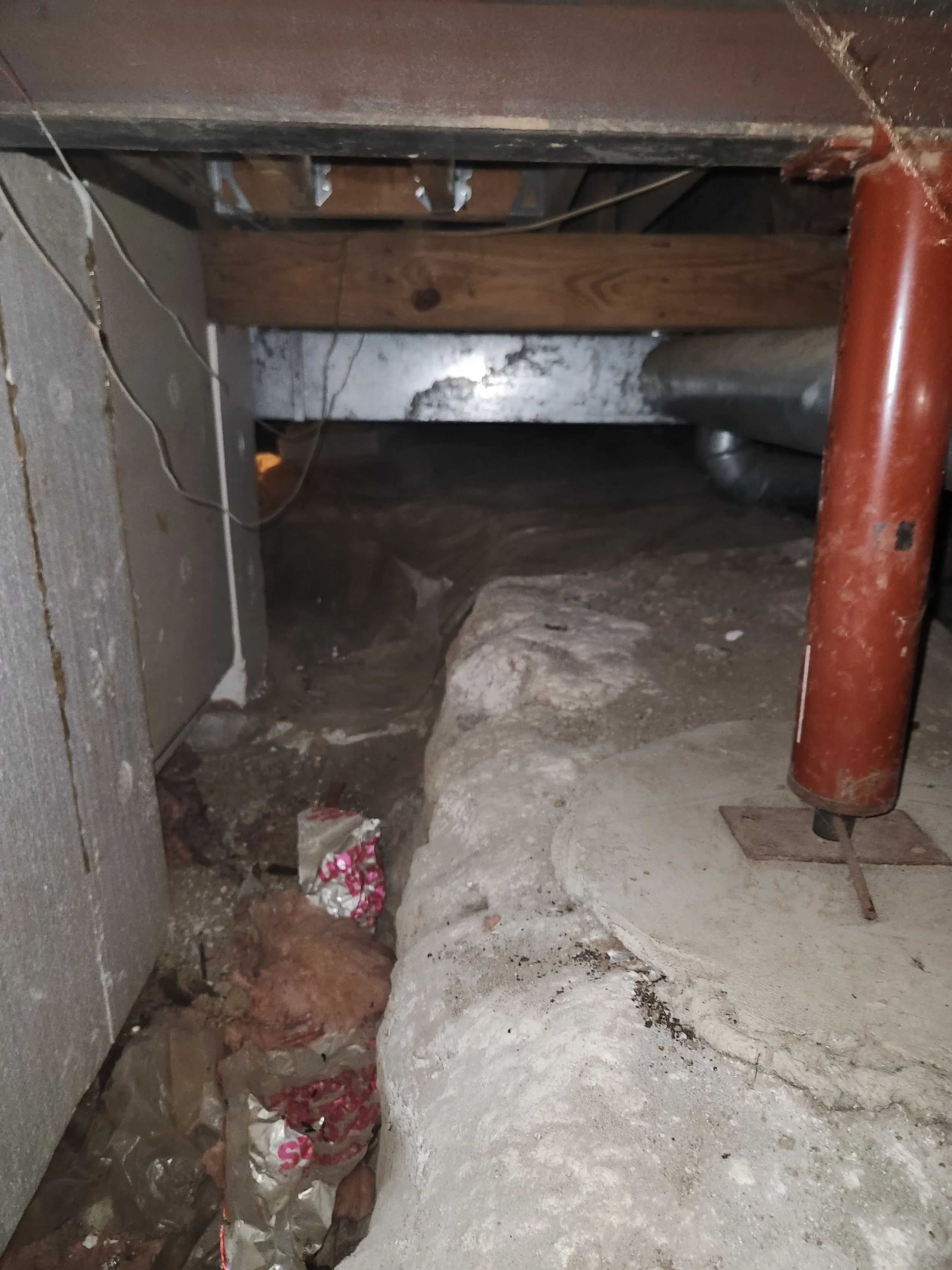 SDC _ Crawl Space (25).jpg