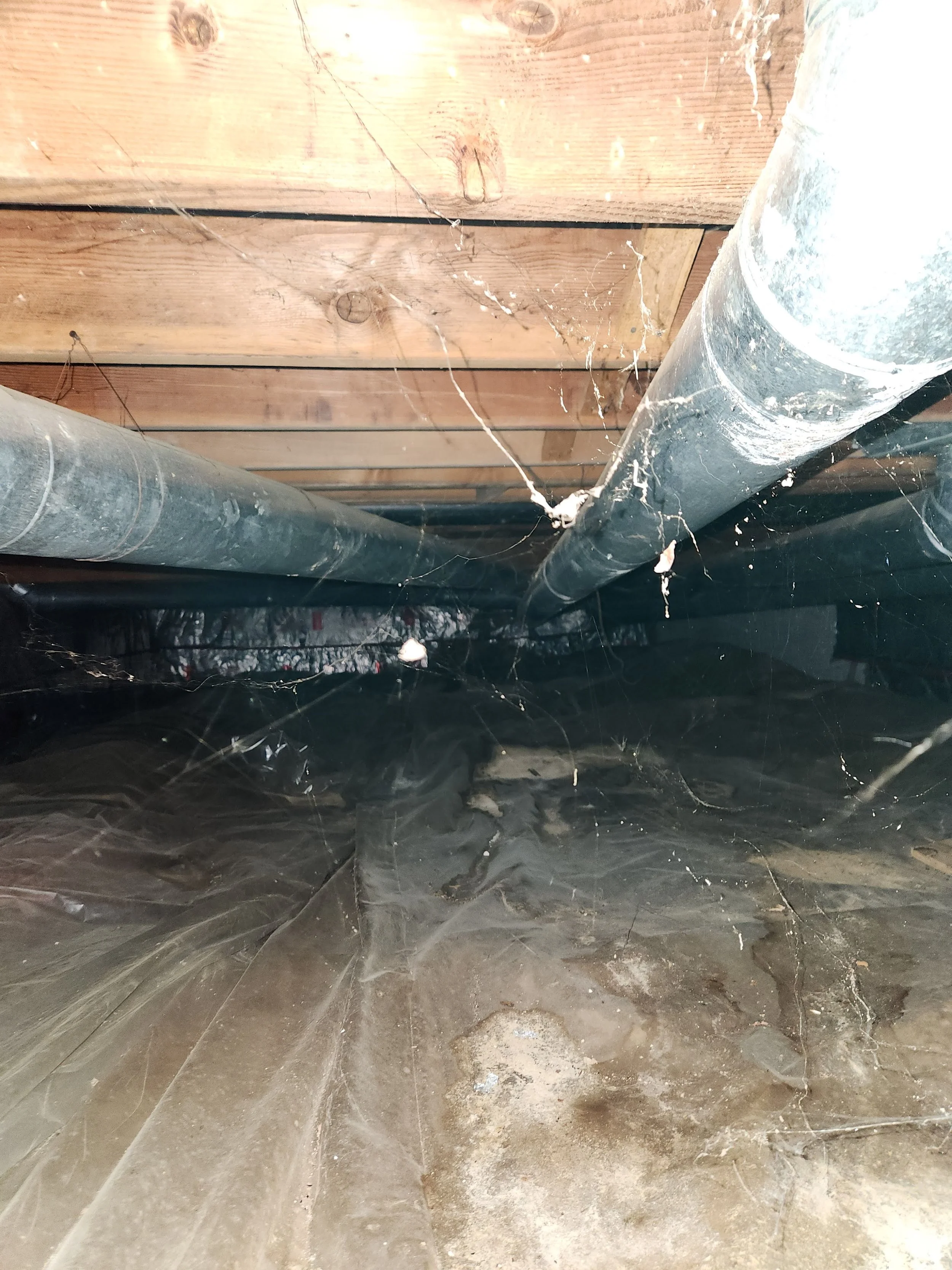SDC _ Crawl Space (27).jpg