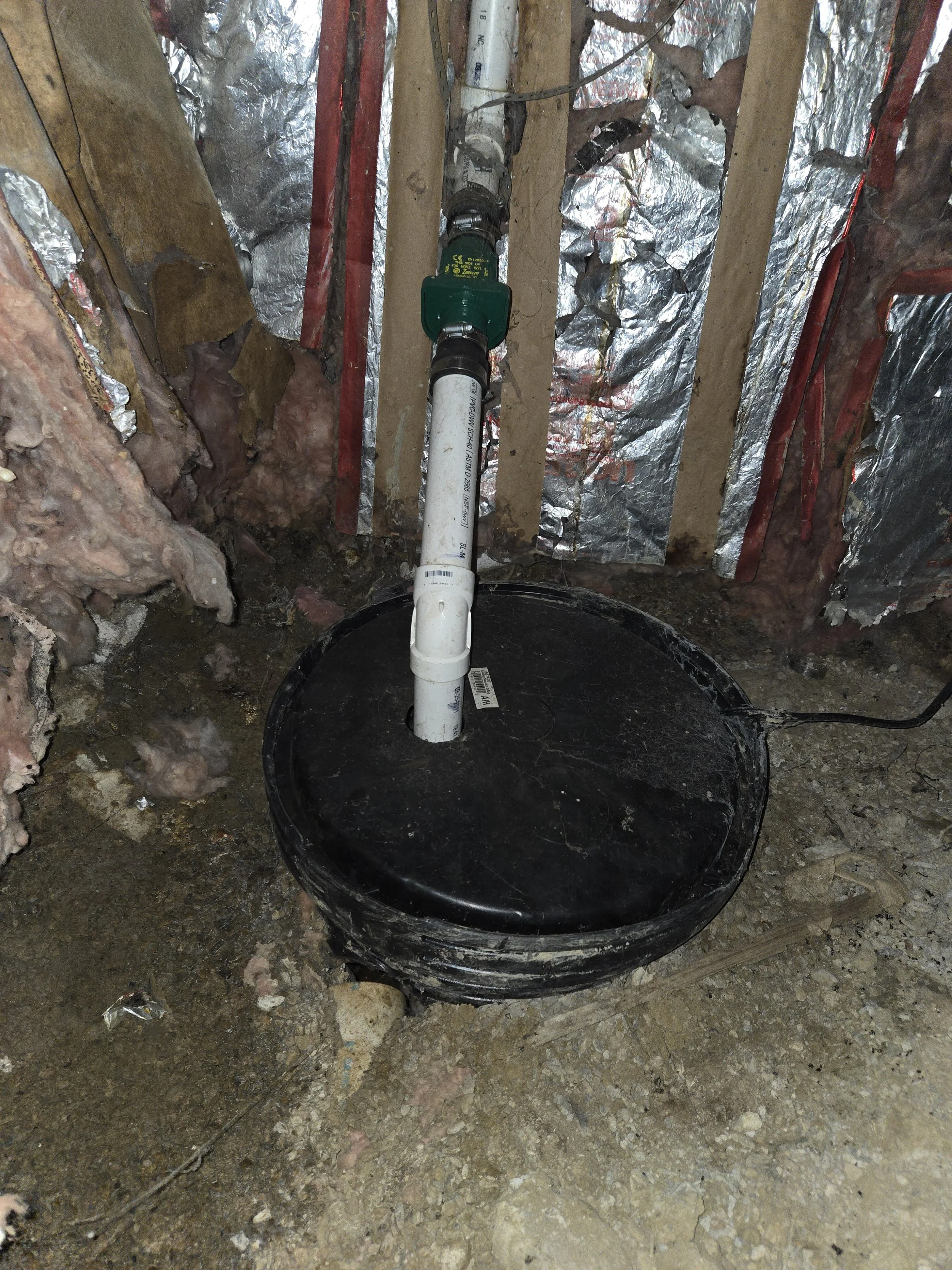 SDC _ Crawl Space (31).jpg