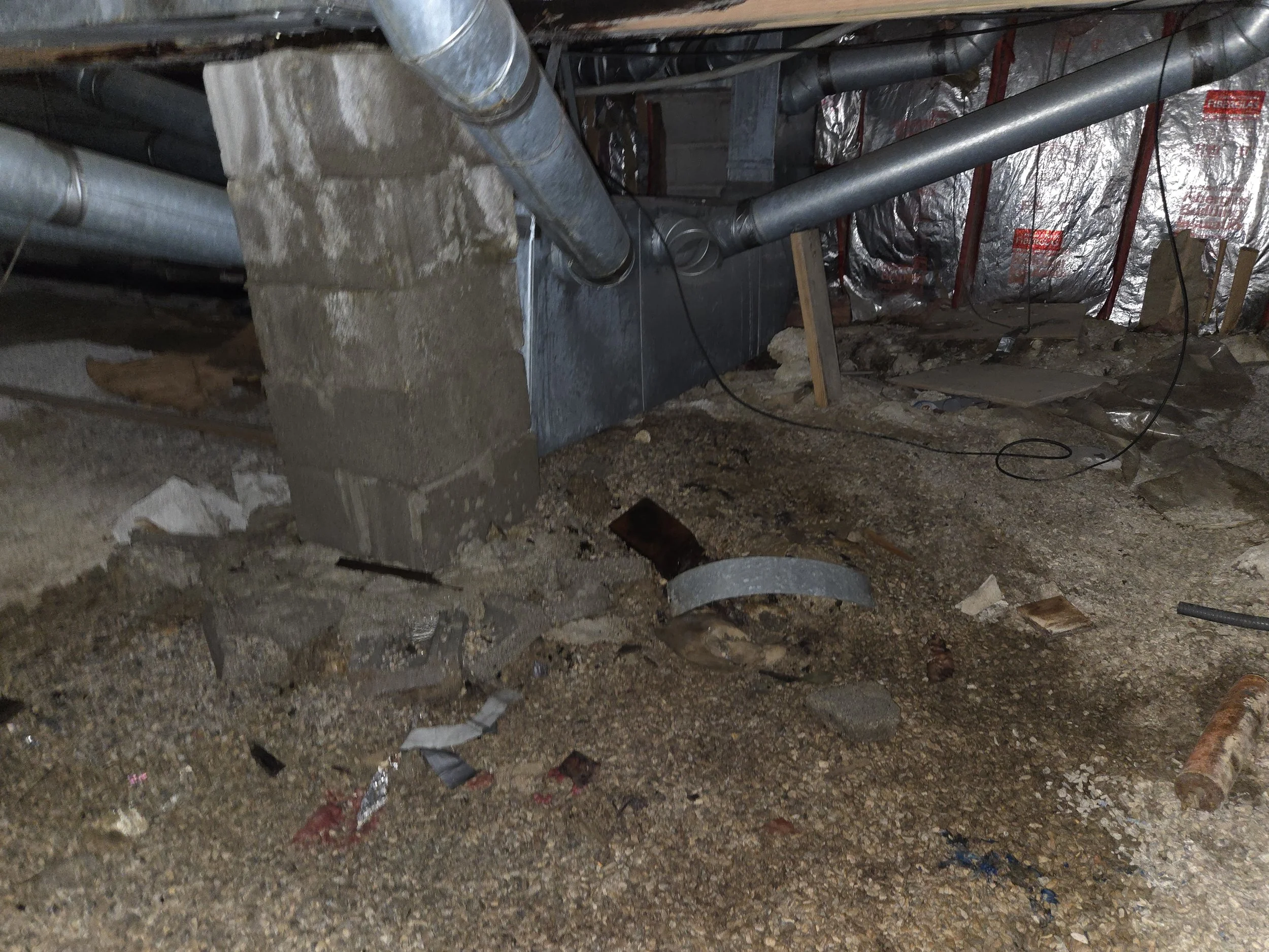 SDC _ Crawl Space (38).jpg