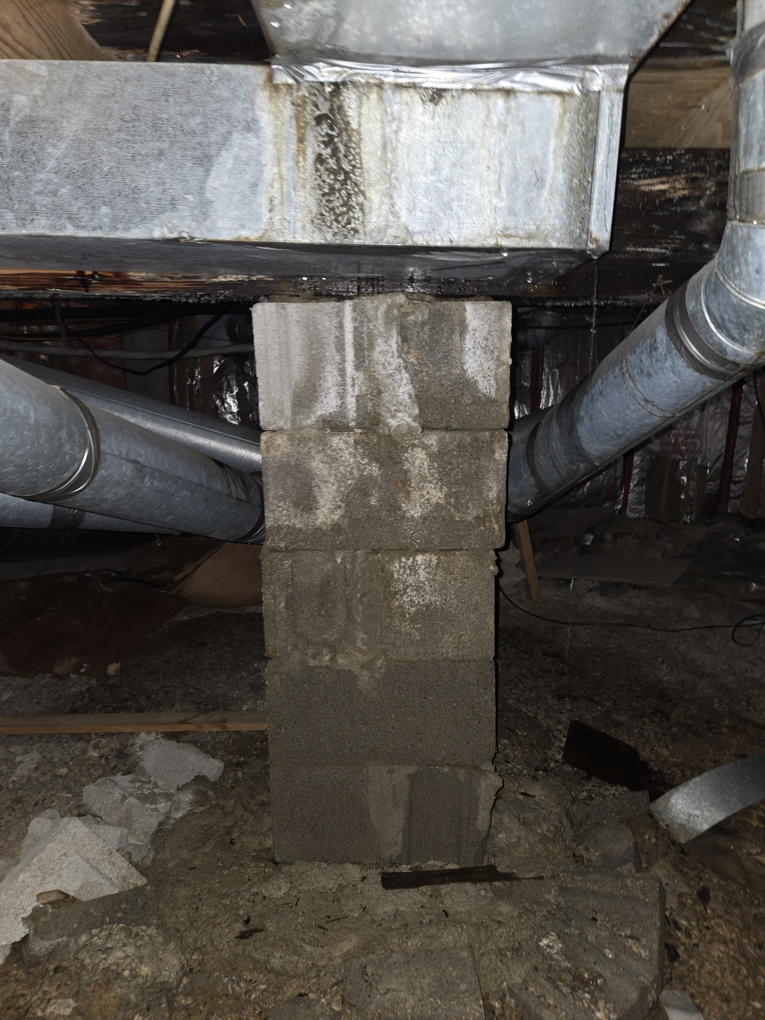 SDC _ Crawl Space (1).jpg