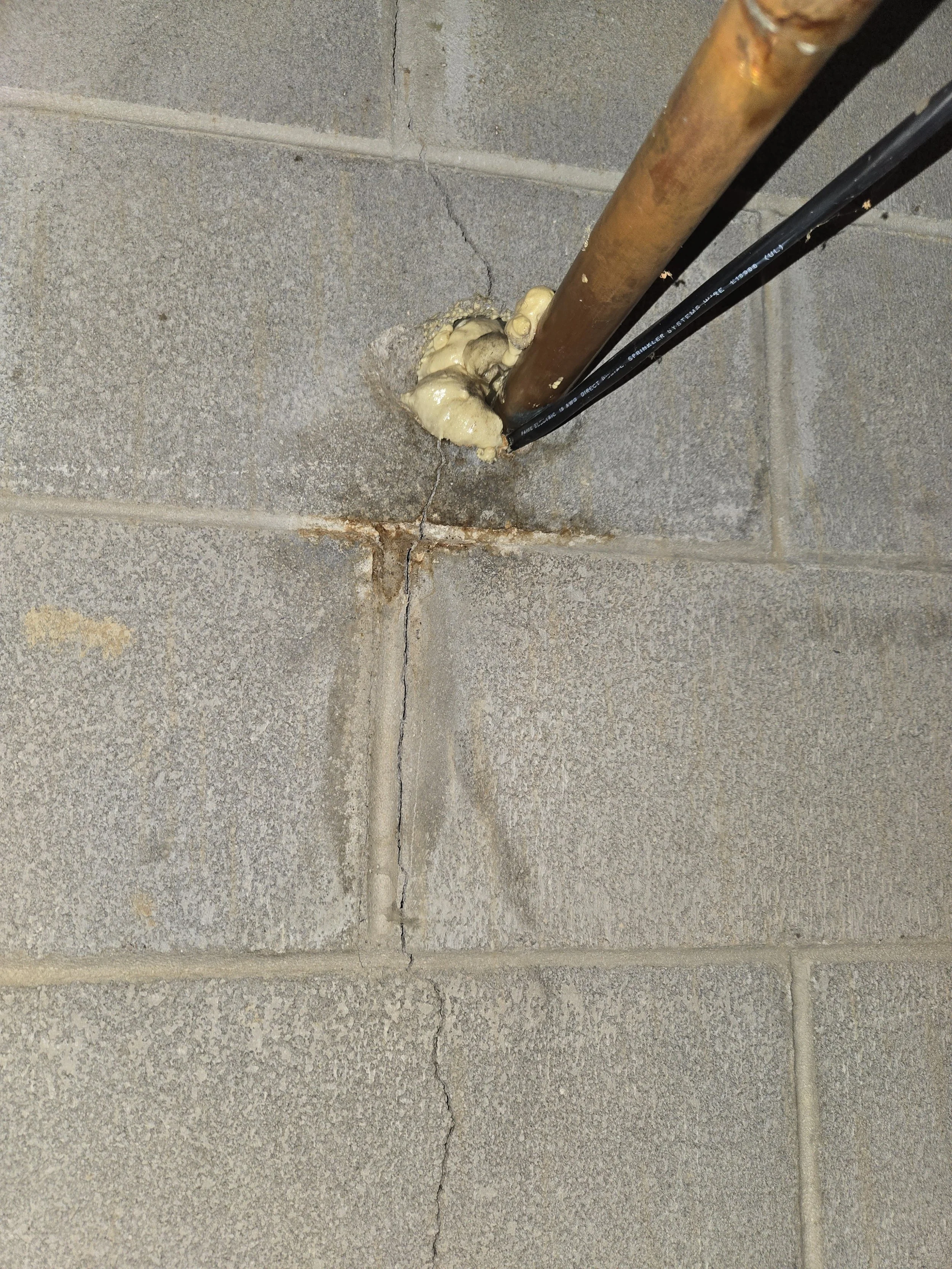 20251121_110712  - Area 1.jpg