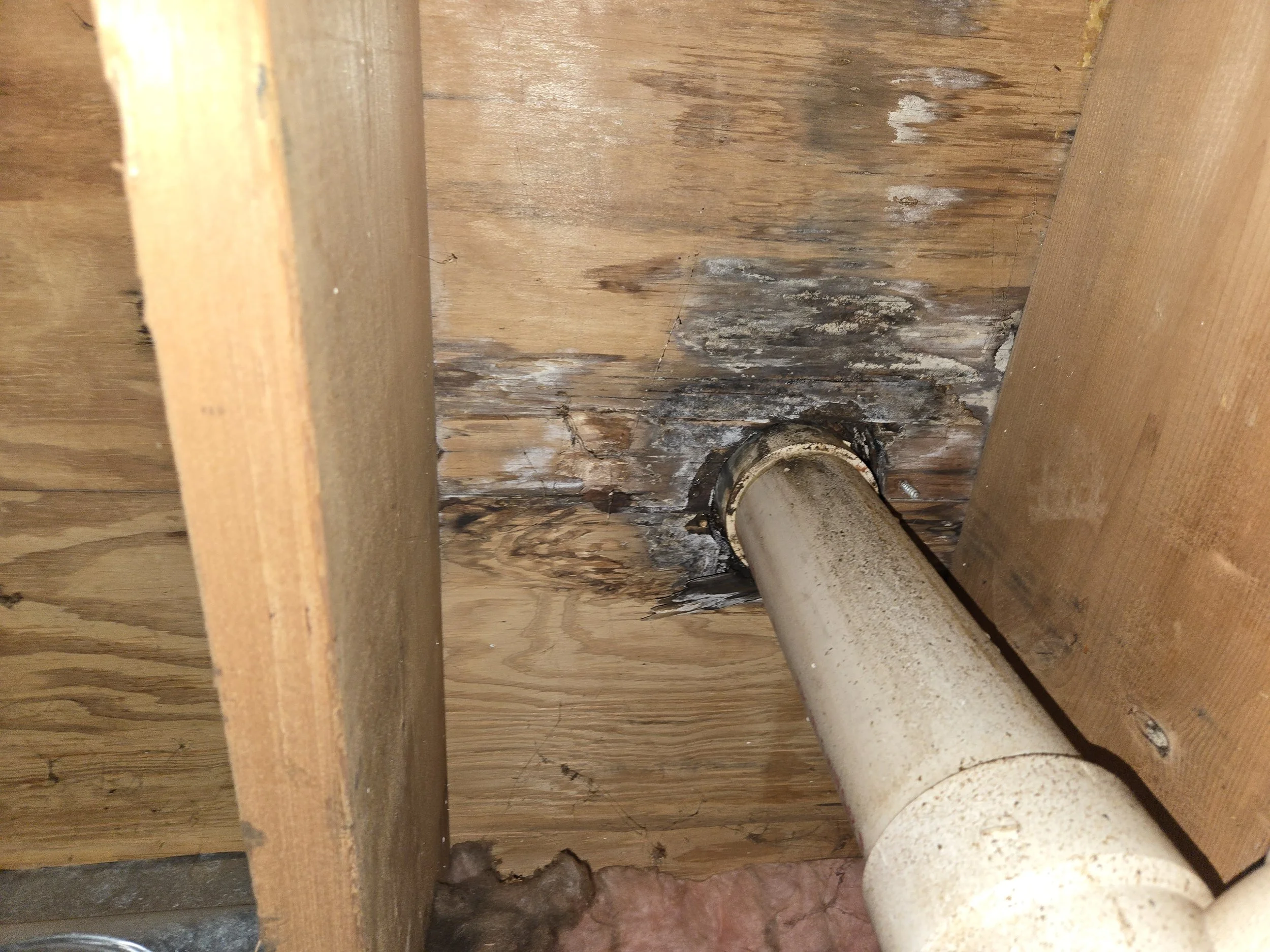 SDC _ Crawl Space (9).jpg