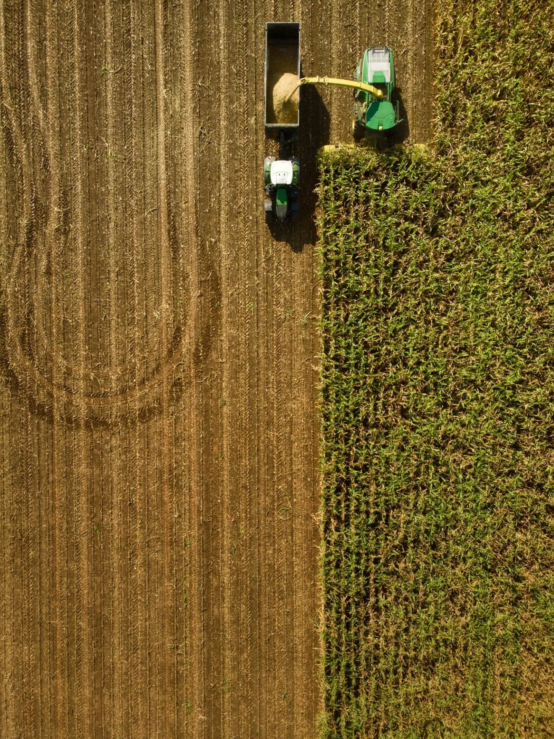 An aerial view of a tractor working in a field, with dirt on the left and green crops on the right.