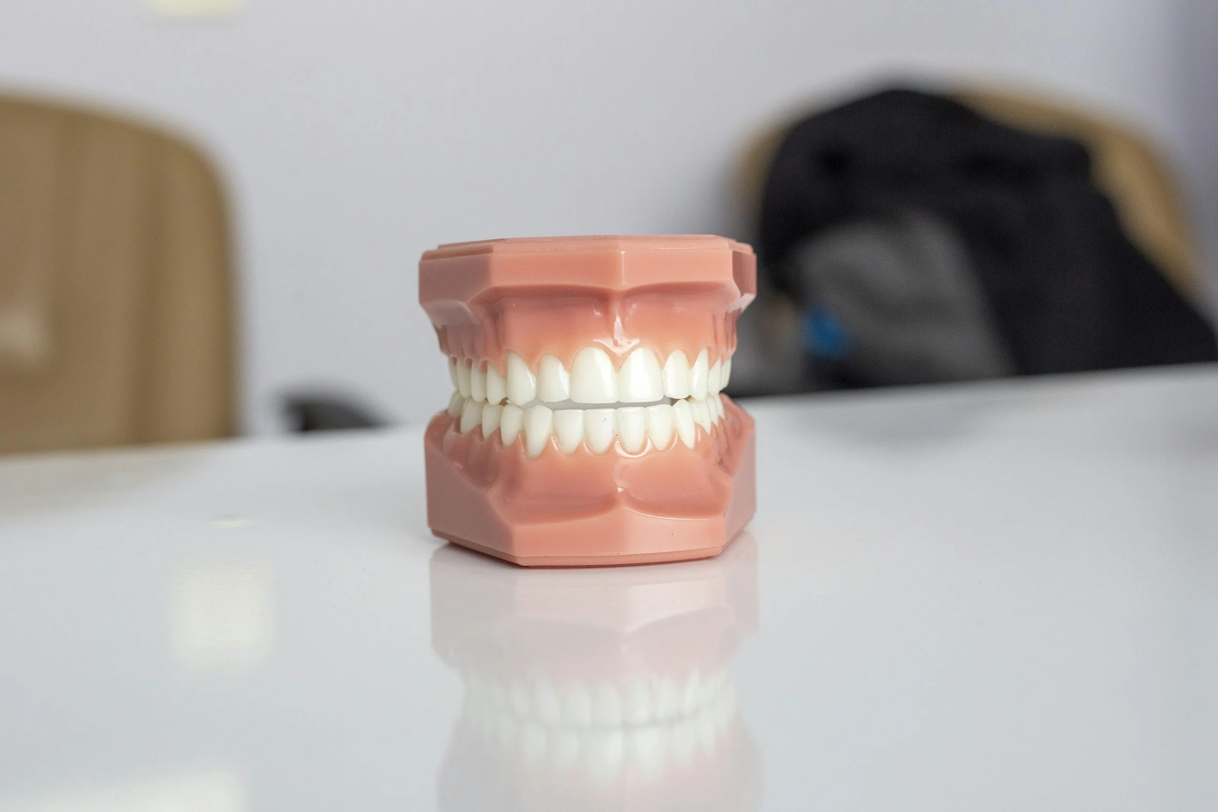 A dental model of human teeth on a white surface with blurred background chairs and bags.