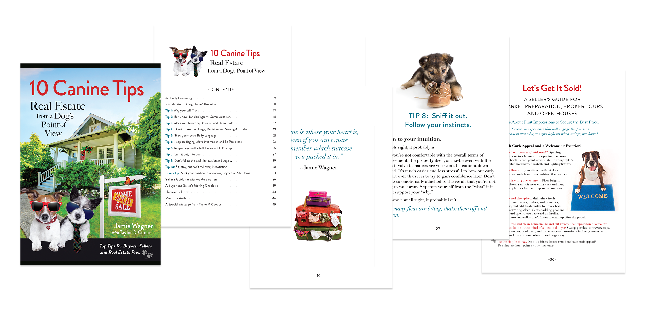 10 Canine Tips Interior design spread