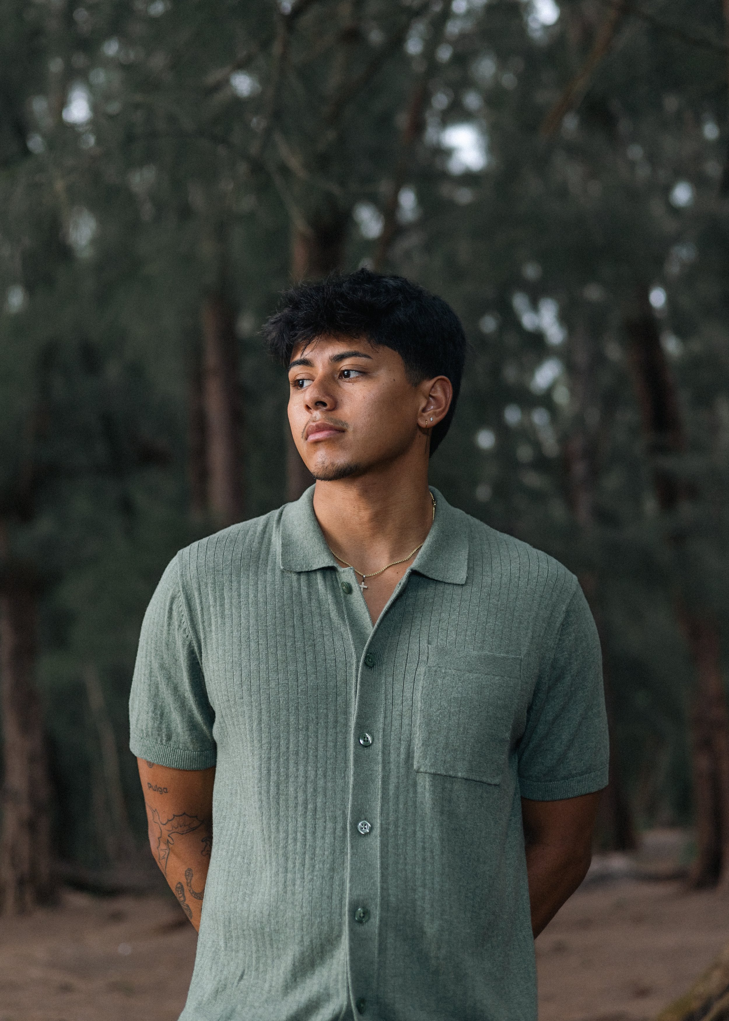 IN THE WOODS