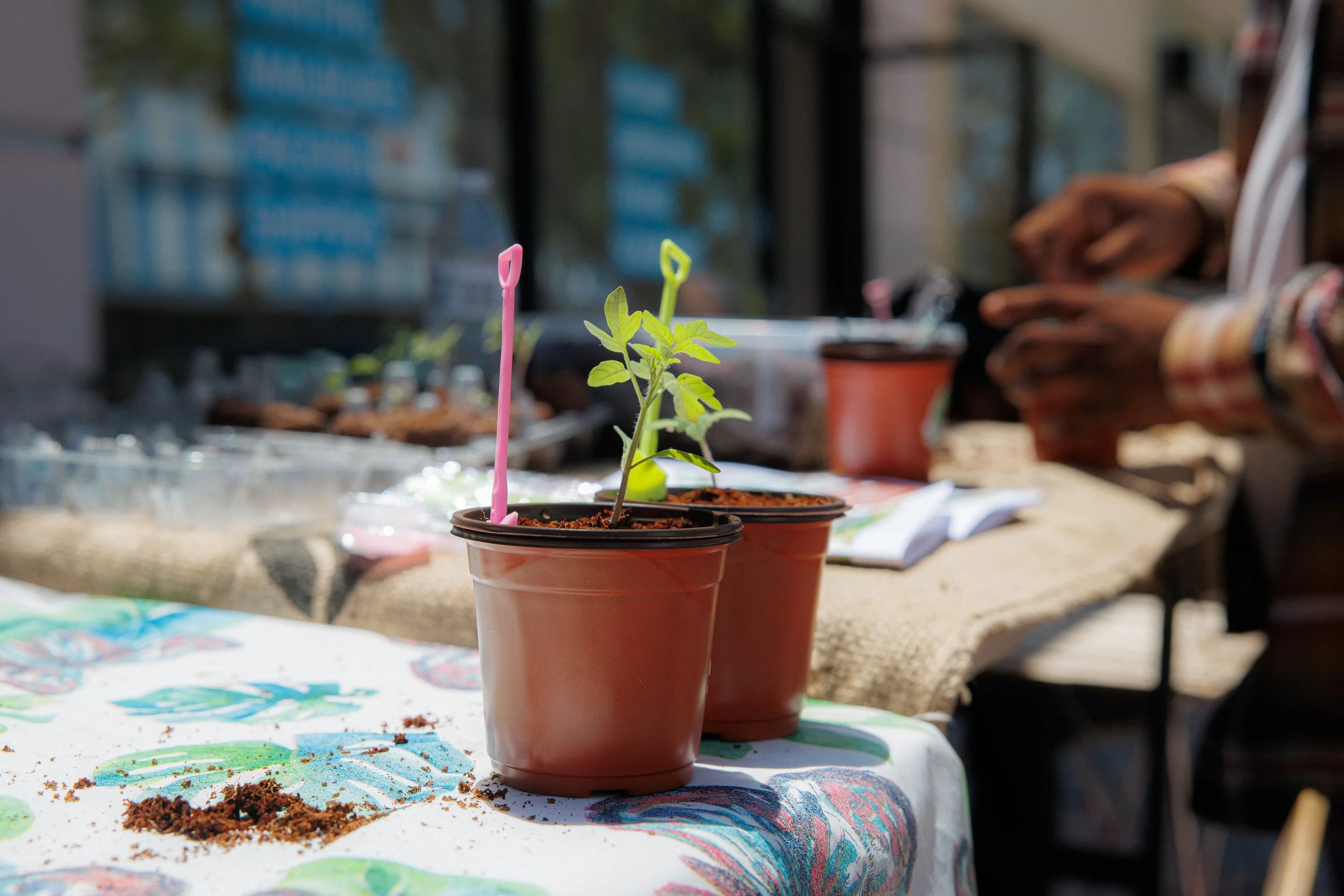 "The Seed", a workshop dedicated to showing people how they can start gardens with limited space. Showcasing that growth happens even in the most humble beginnings. Grow that tomato plant.