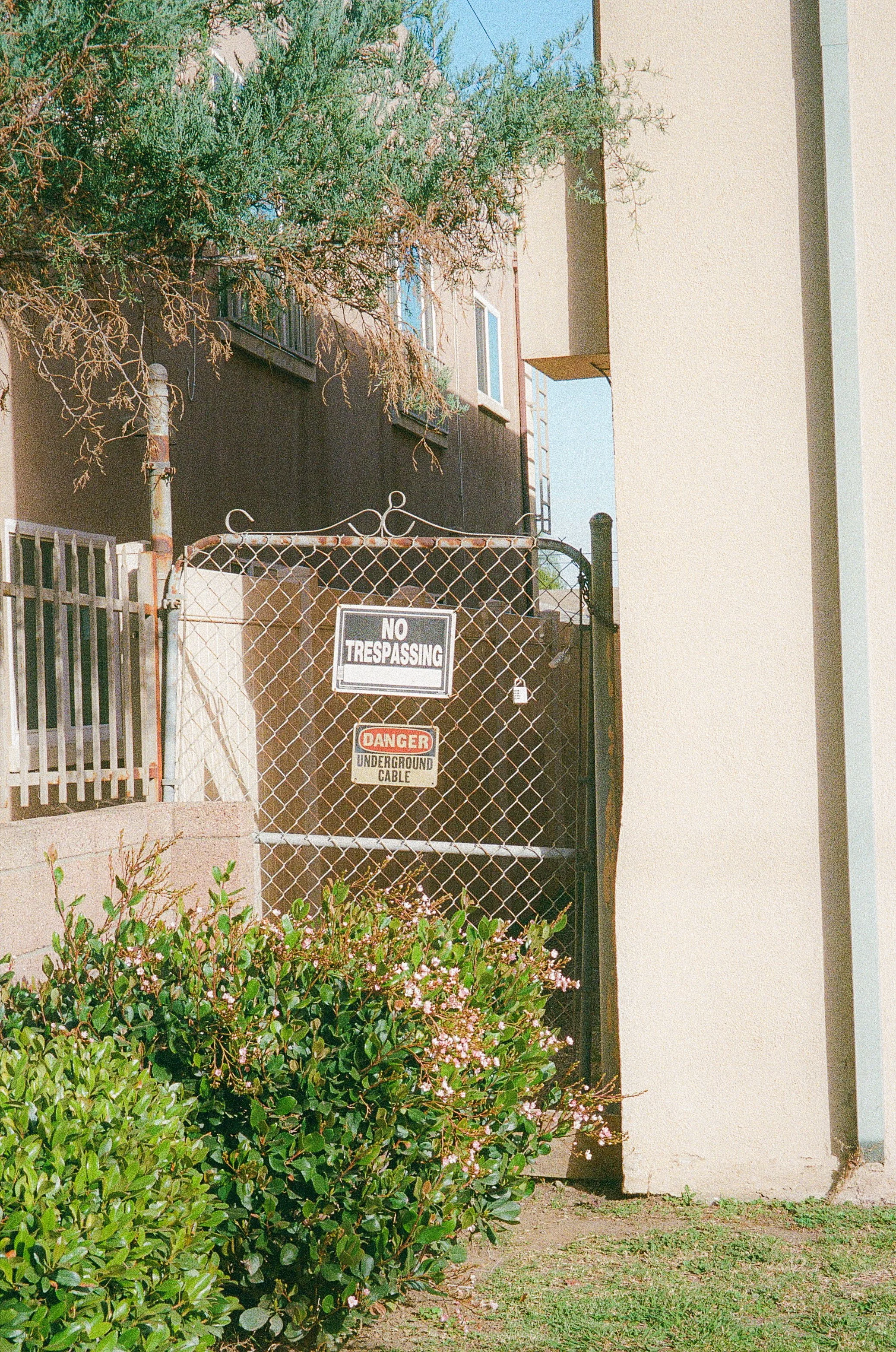 PHOTO WALK WITH TORI. GARDENA, CA. FEB. 2026.