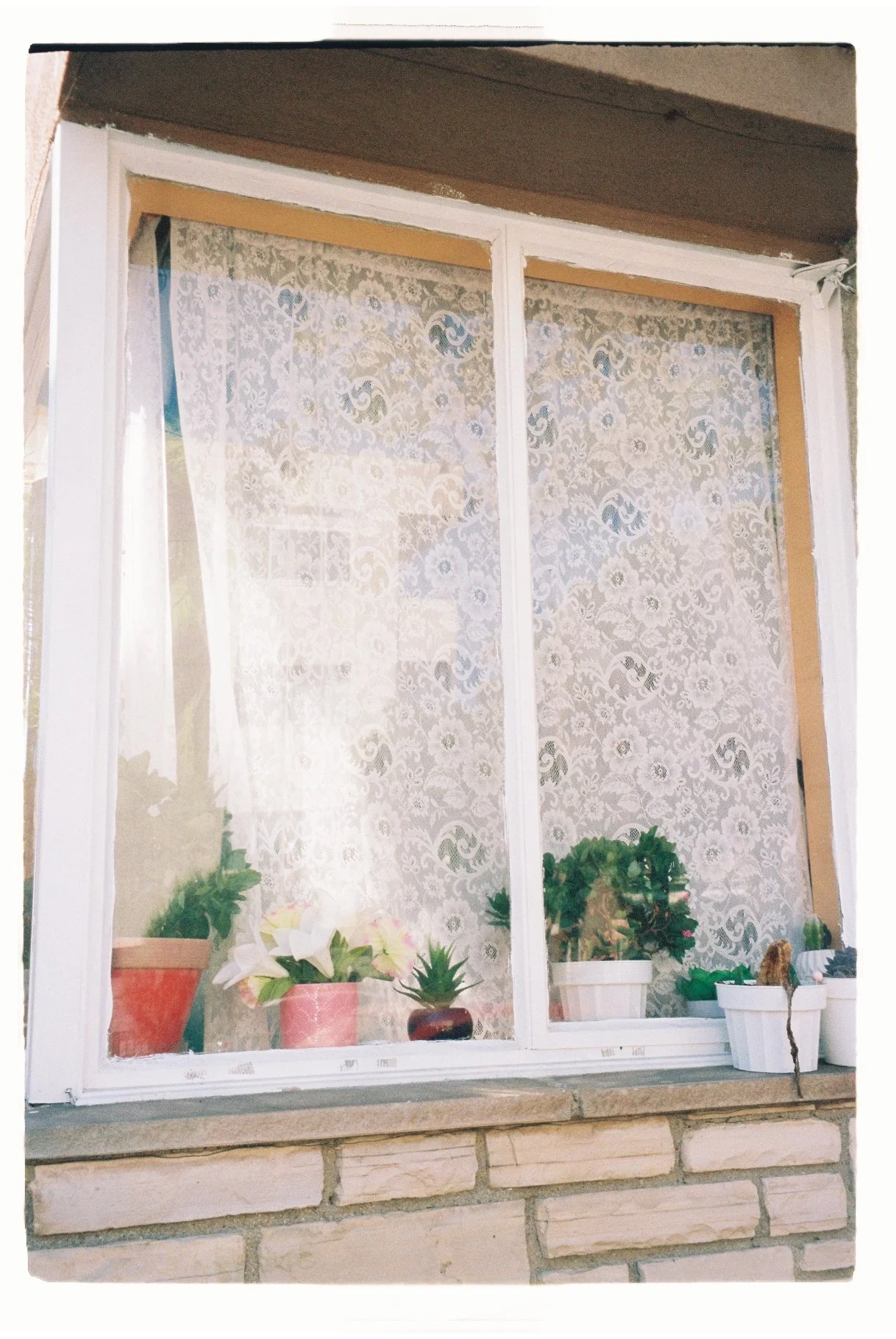 PHOTO WALK WITH LESLIE. LONG BEACH, CA. SEPT. 2025.