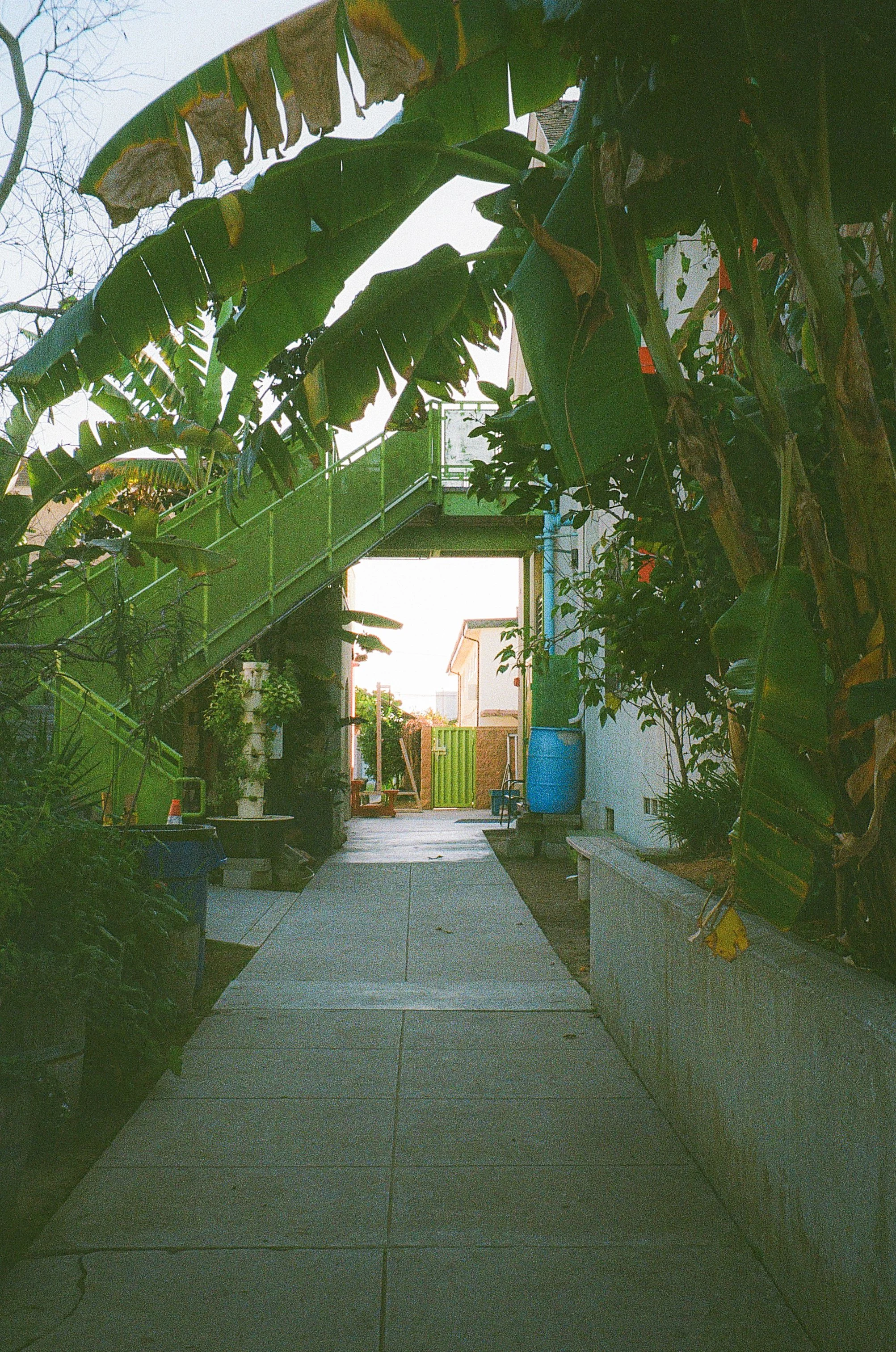 PHOTO WALK WITH TORI. GARDENA, CA. FEB. 2026.