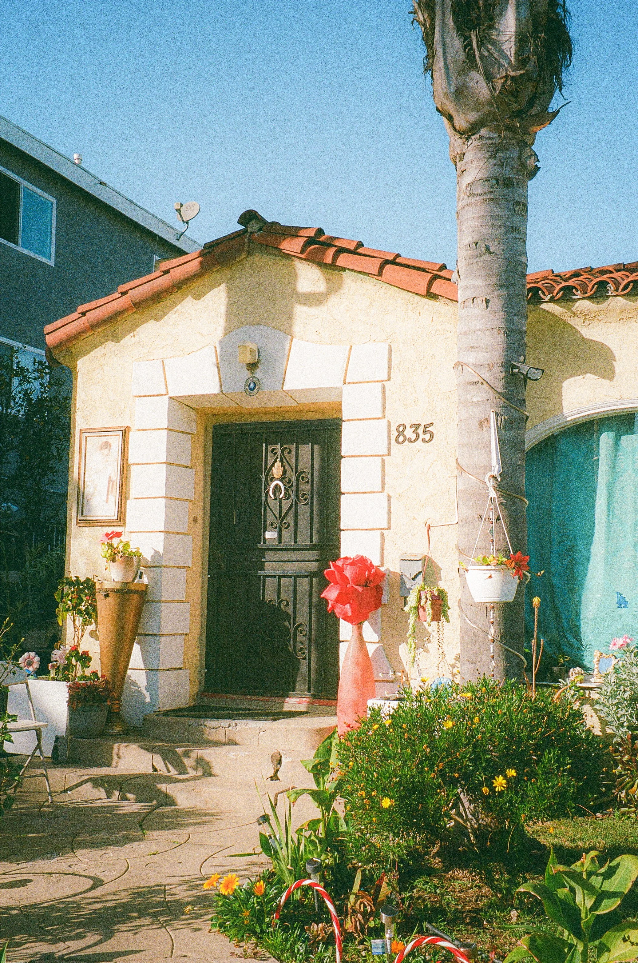 PHOTO WALK WITH TORI. GARDENA, CA. FEB. 2026.