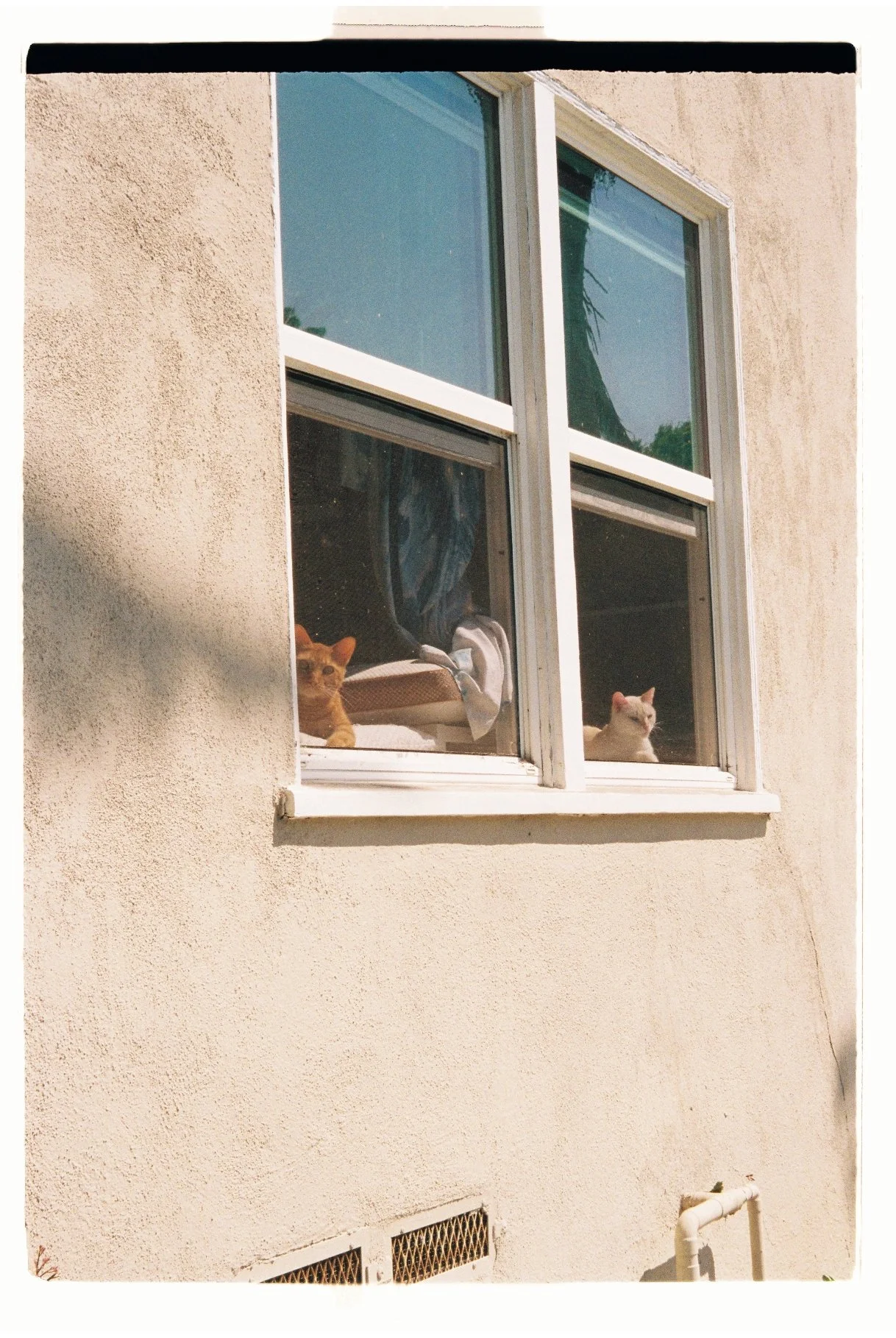 PHOTO WALK WITH LESLIE. LONG BEACH, CA. SEPT. 2025.