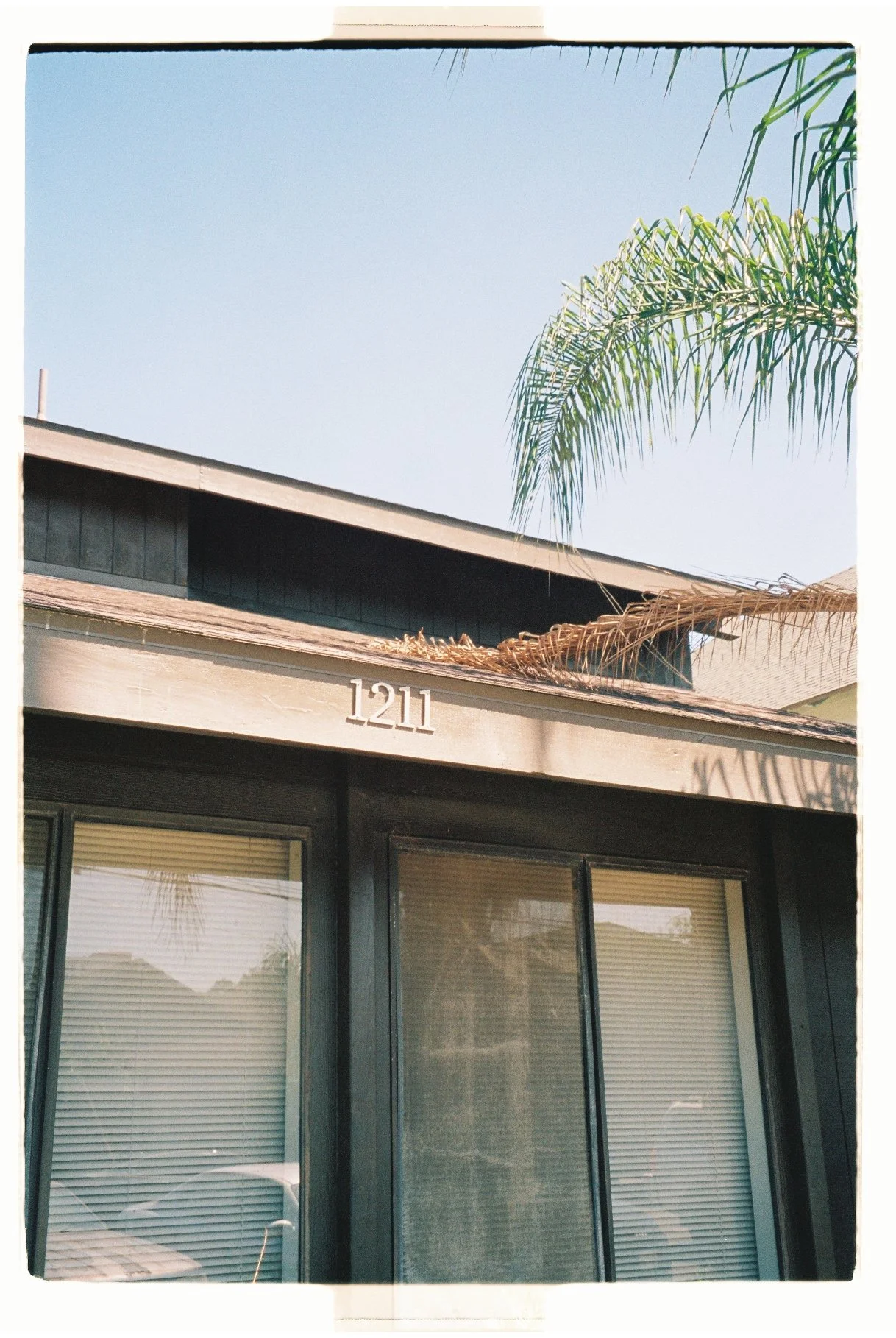 PHOTO WALK WITH LESLIE. LONG BEACH, CA. SEPT. 2025.