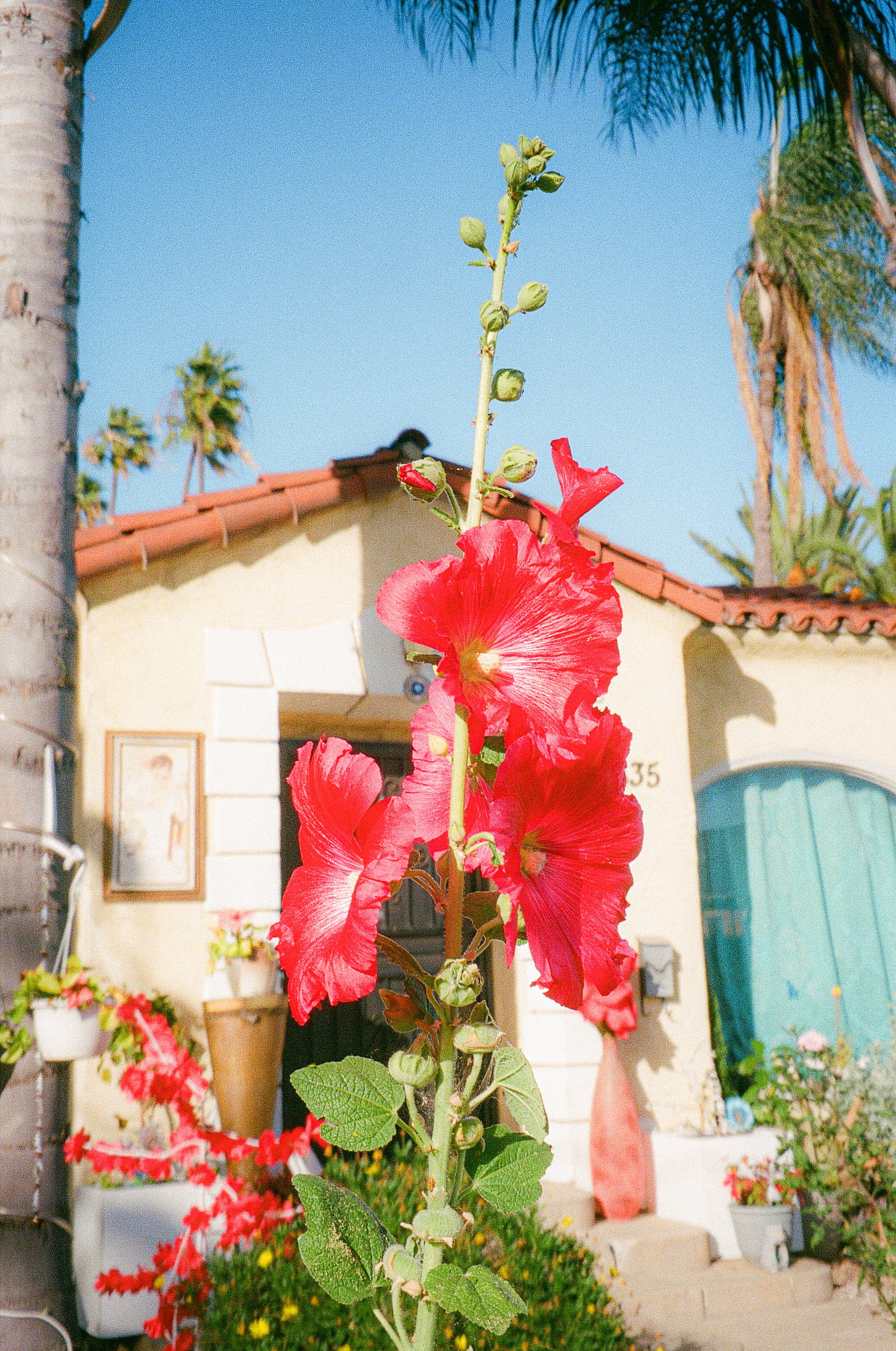 PHOTO WALK WITH TORI. GARDENA, CA. FEB. 2026.