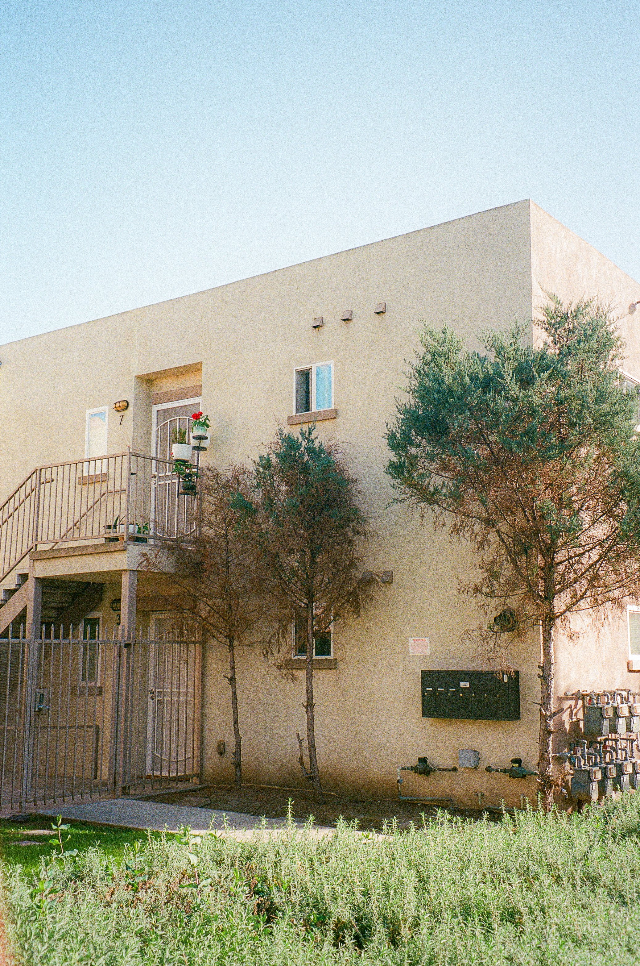 PHOTO WALK WITH TORI. GARDENA, CA. FEB. 2026.